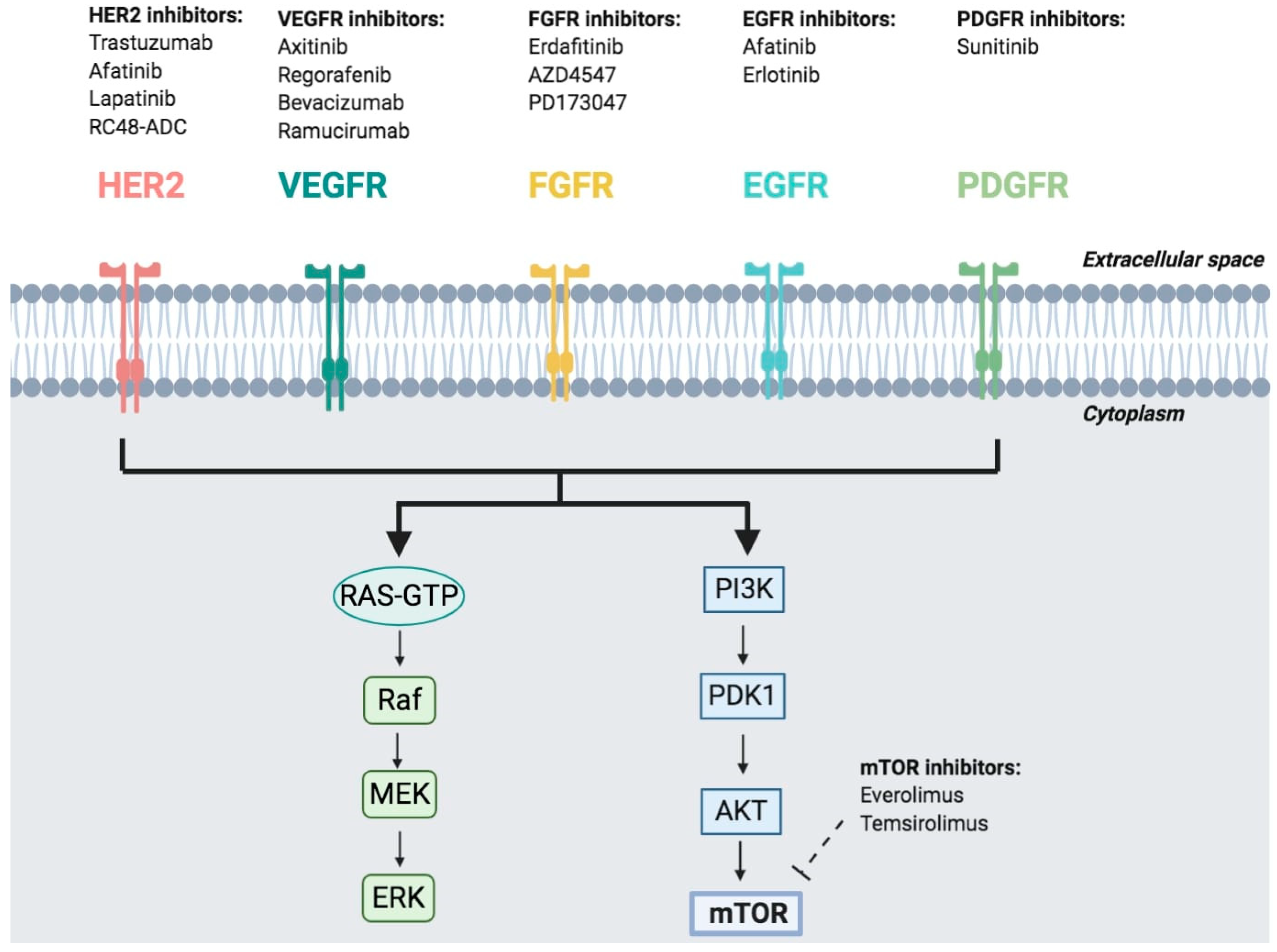 Cancers 12 01449 g002 Cancers 12 01449 g002