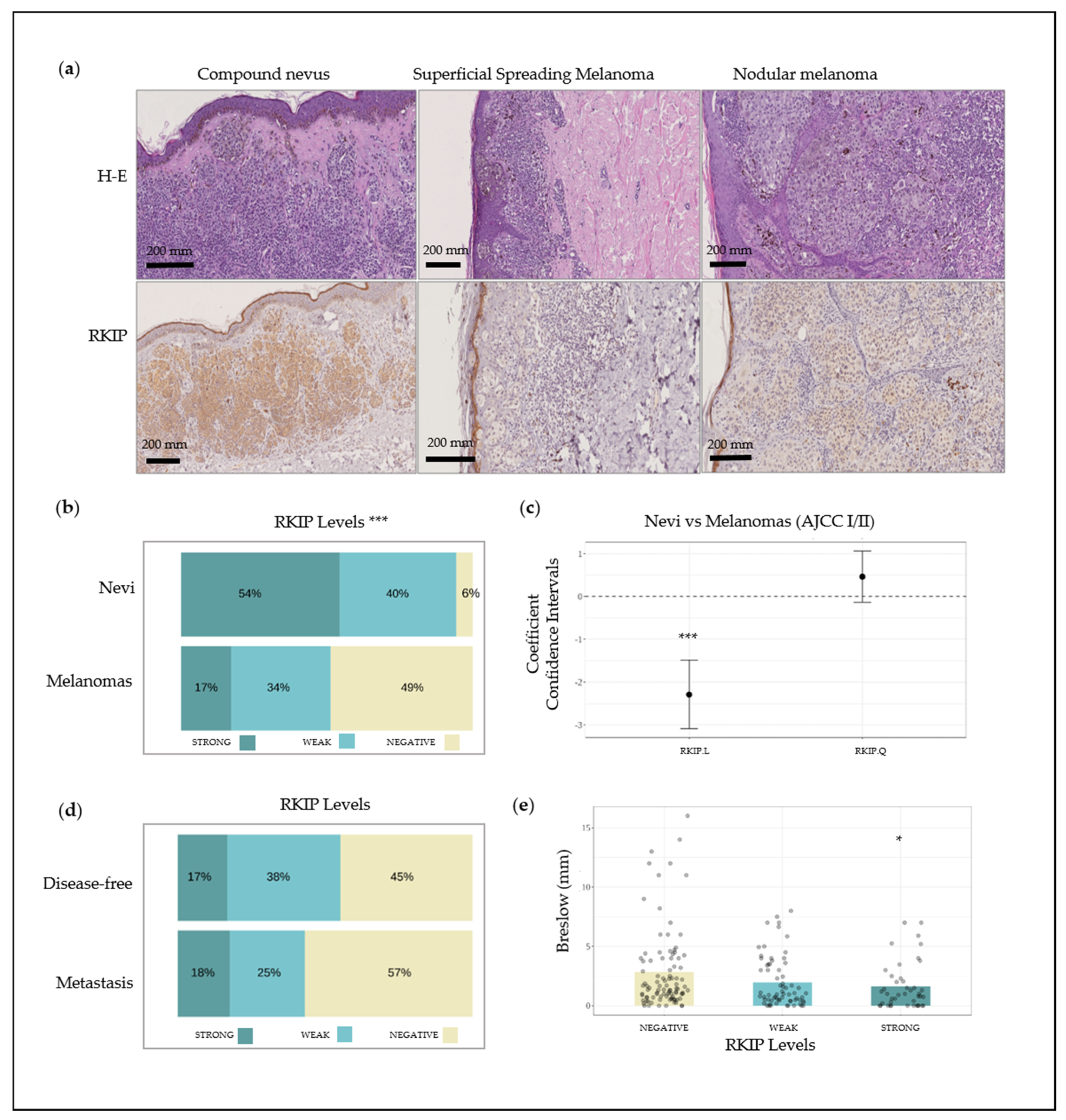 Cancers 12 01451 g001 Cancers 12 01451 g001