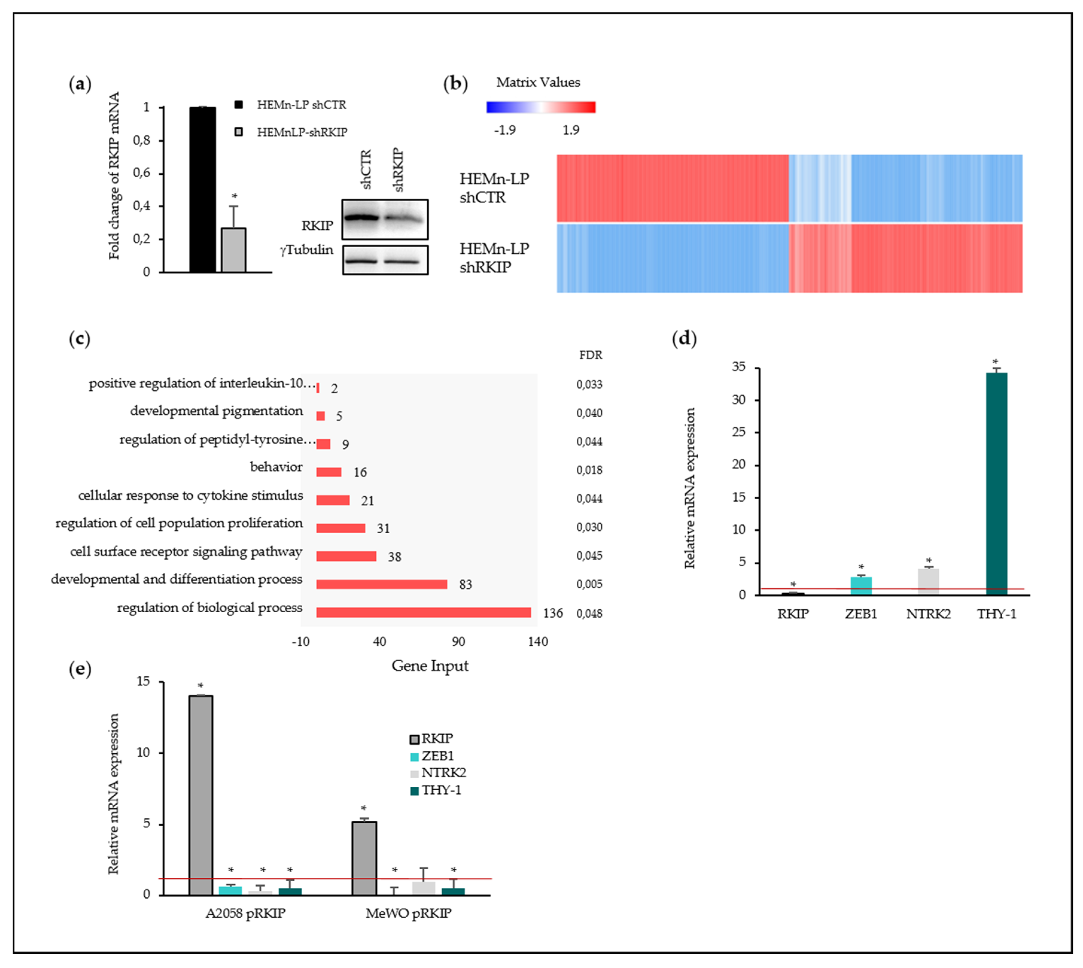 Cancers 12 01451 g005 Cancers 12 01451 g005