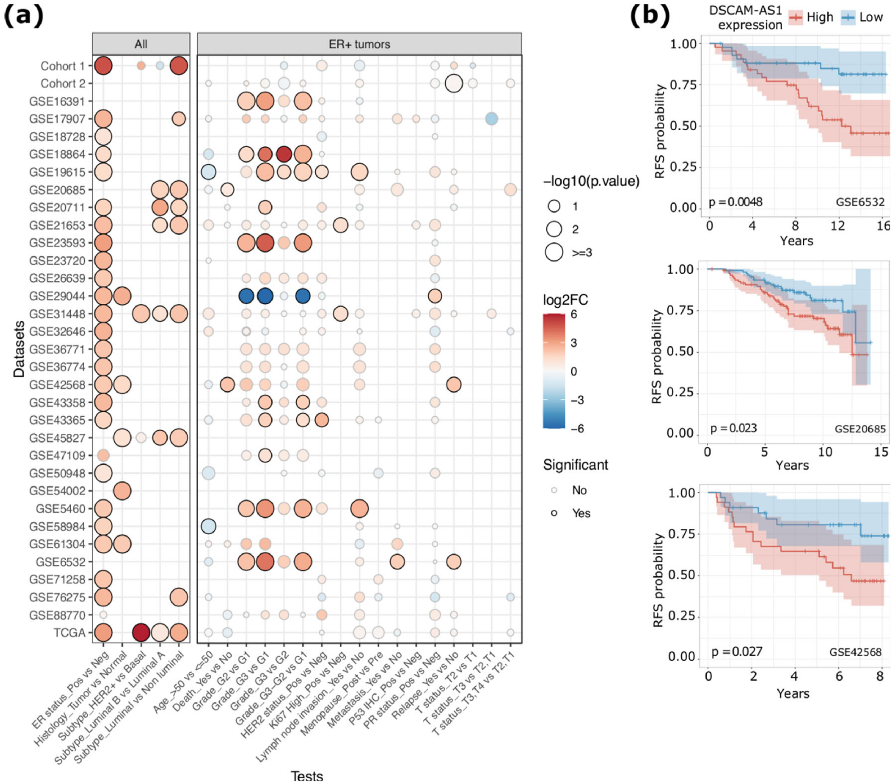 Cancers 12 01453 g001 Cancers 12 01453 g001