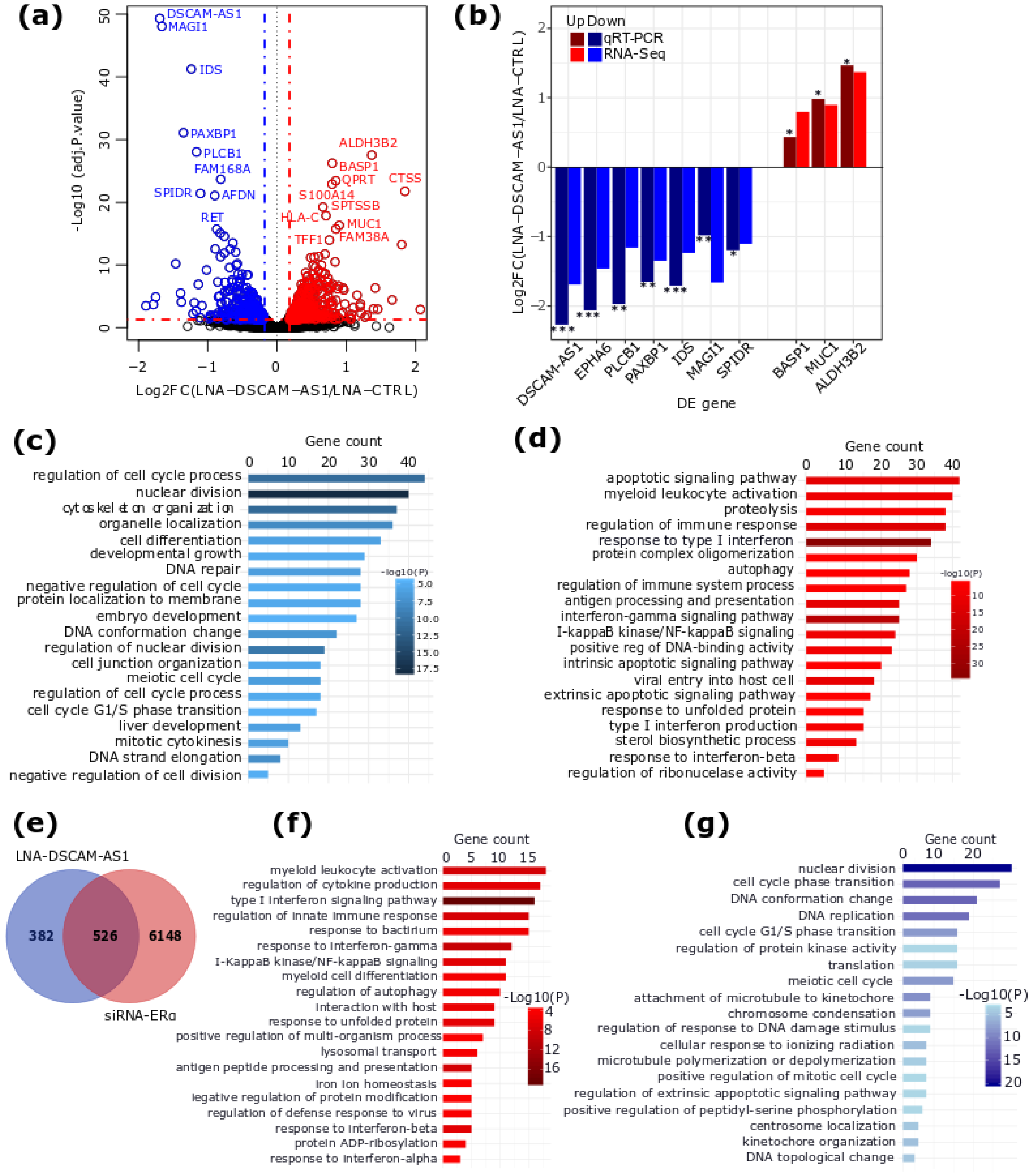 Cancers 12 01453 g002 Cancers 12 01453 g002