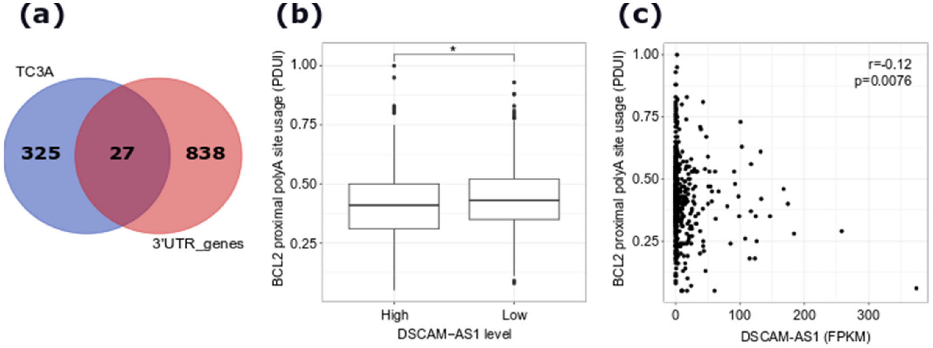 Cancers 12 01453 g004 Cancers 12 01453 g004