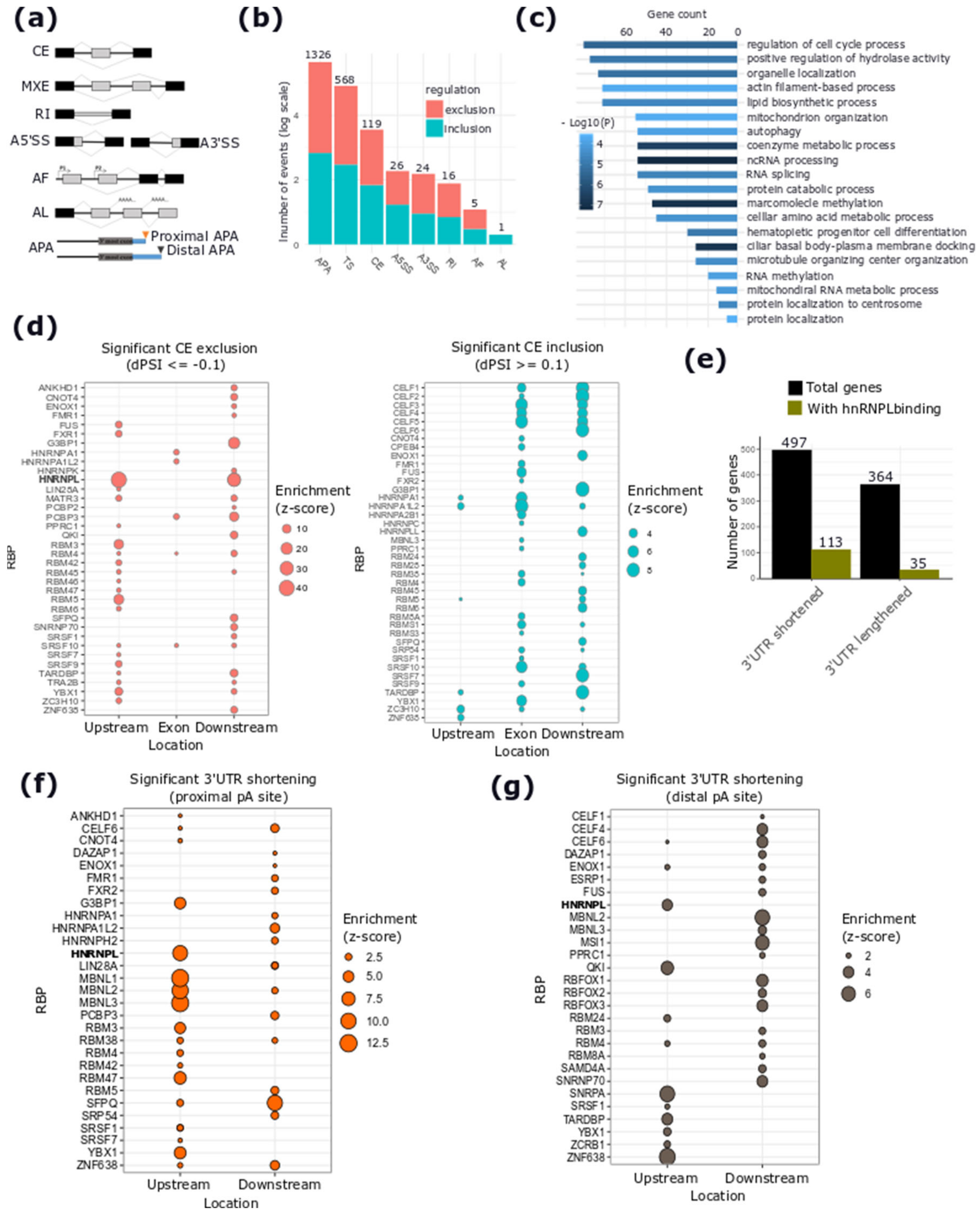 Cancers 12 01453 g005 Cancers 12 01453 g005