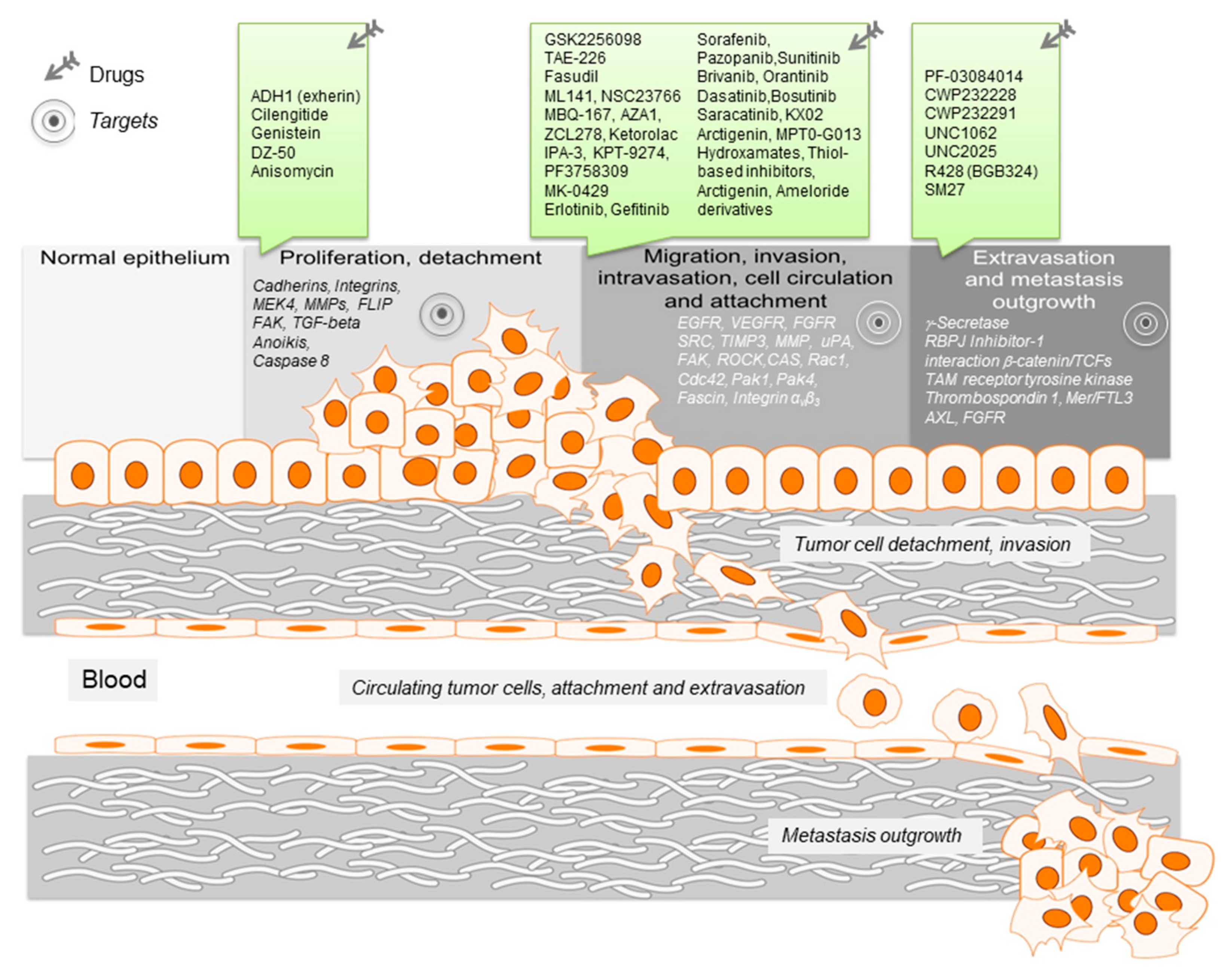 Cancers 12 01454 g001 Cancers 12 01454 g001