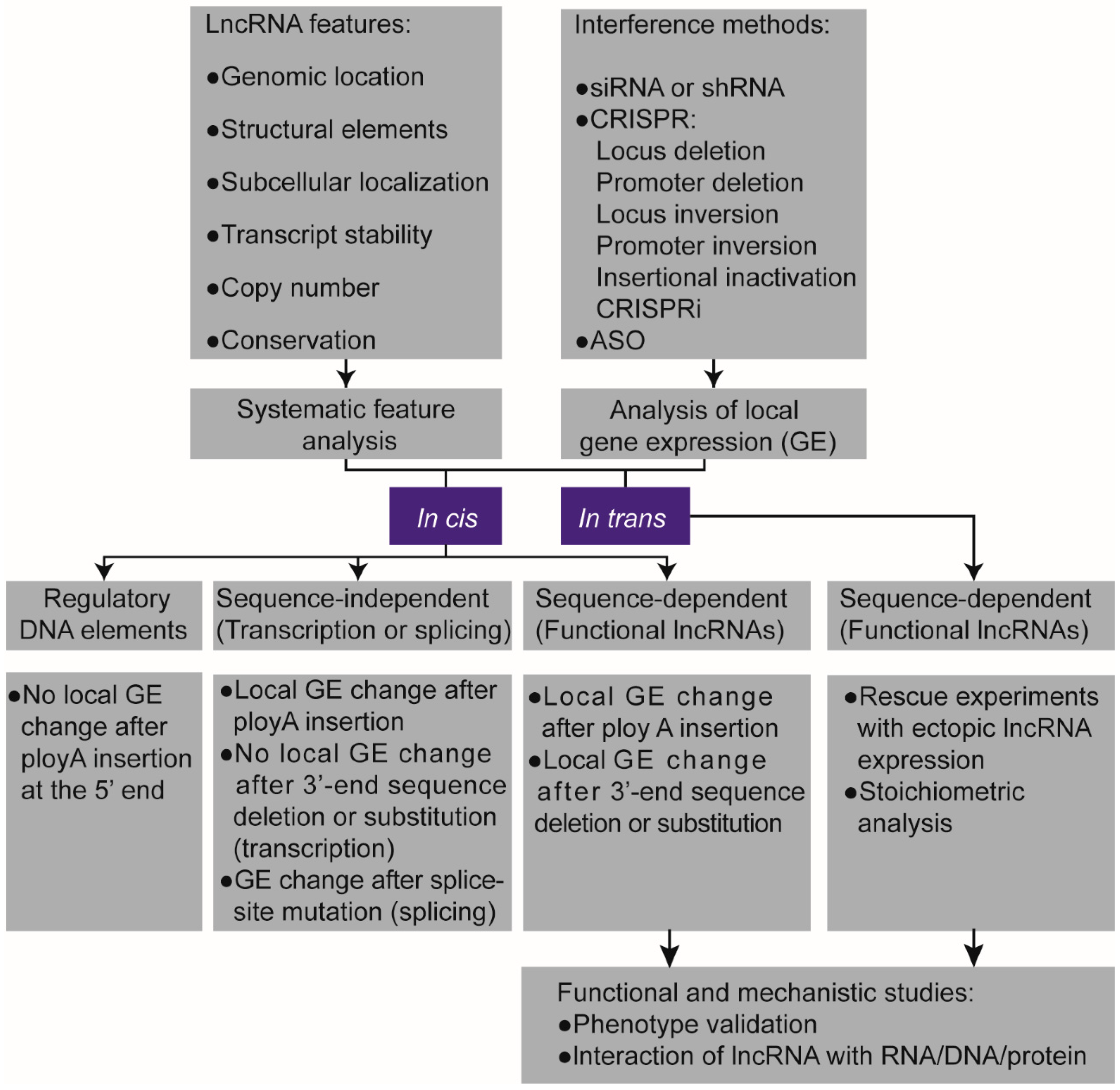 Cancers 12 01458 g002
