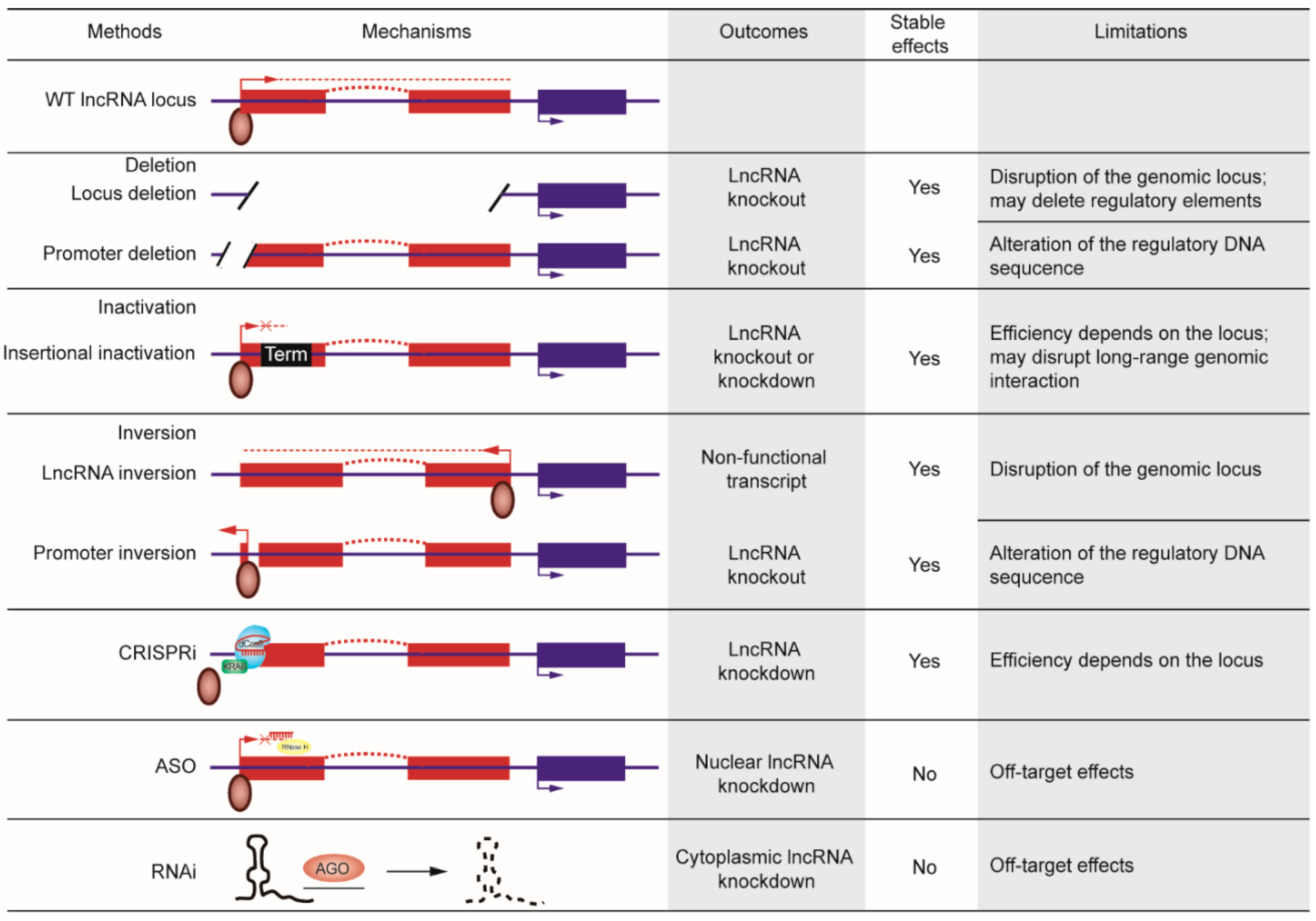 Cancers 12 01458 g003