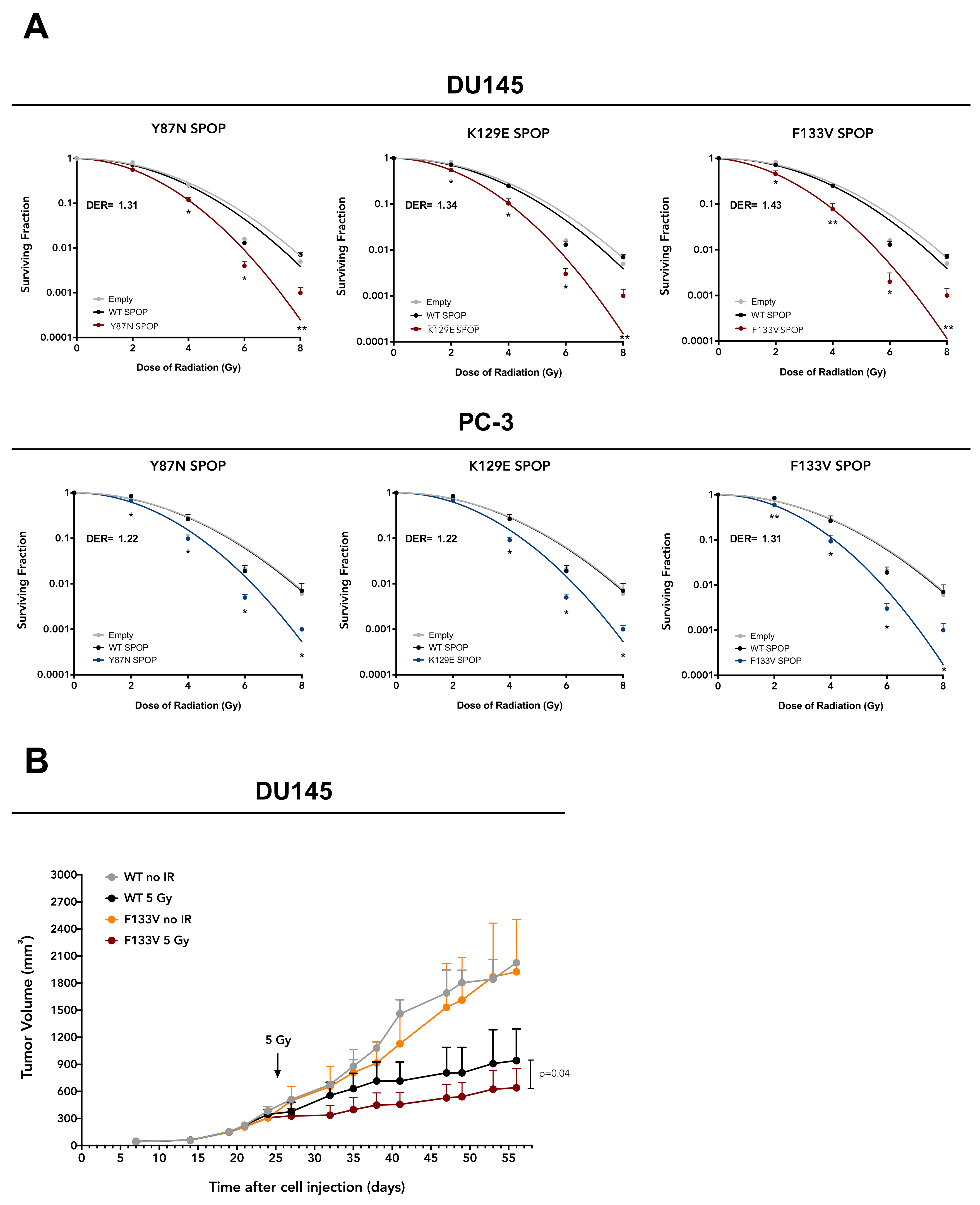 Cancers 12 01462 g002 Cancers 12 01462 g002
