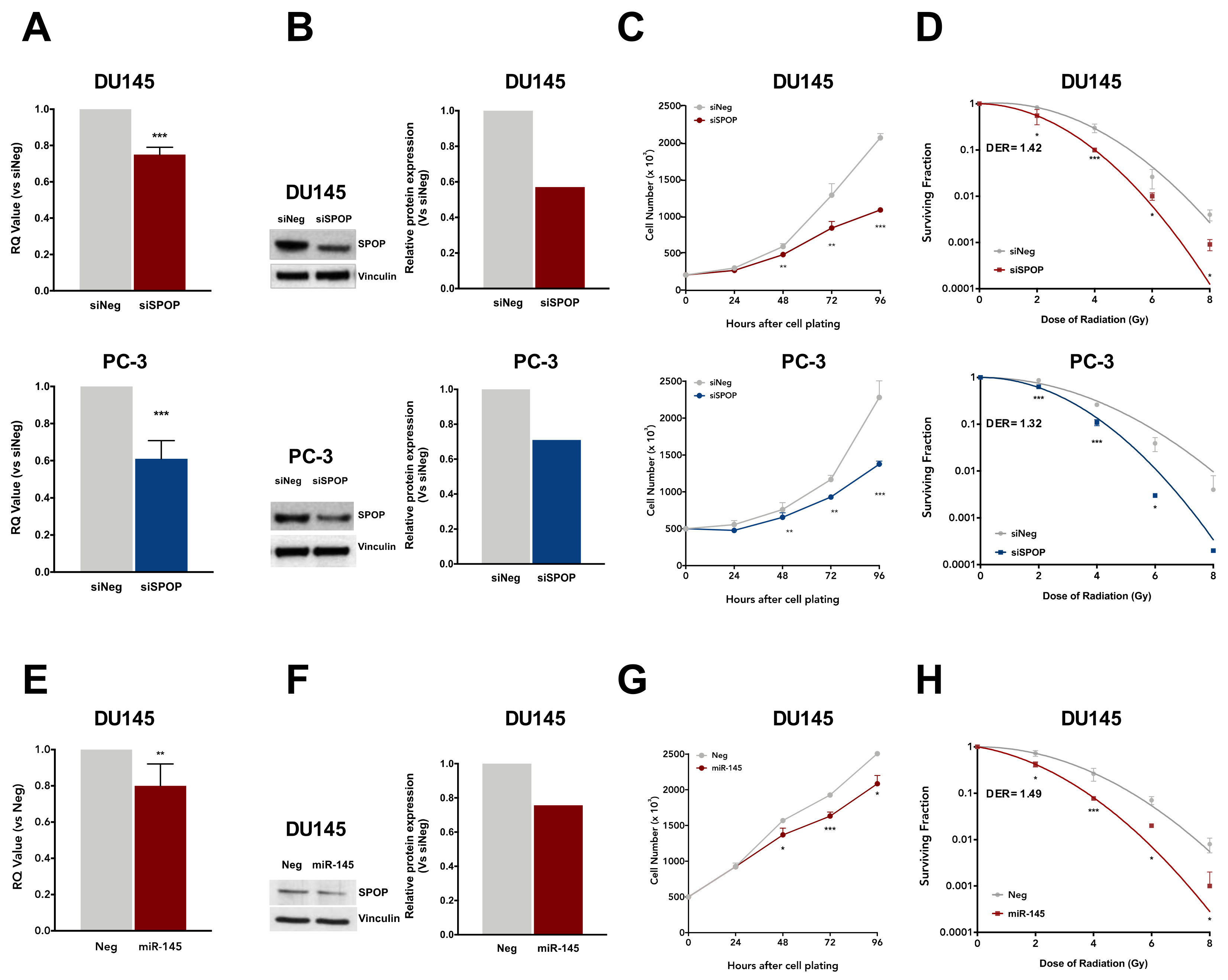 Cancers 12 01462 g005 Cancers 12 01462 g005