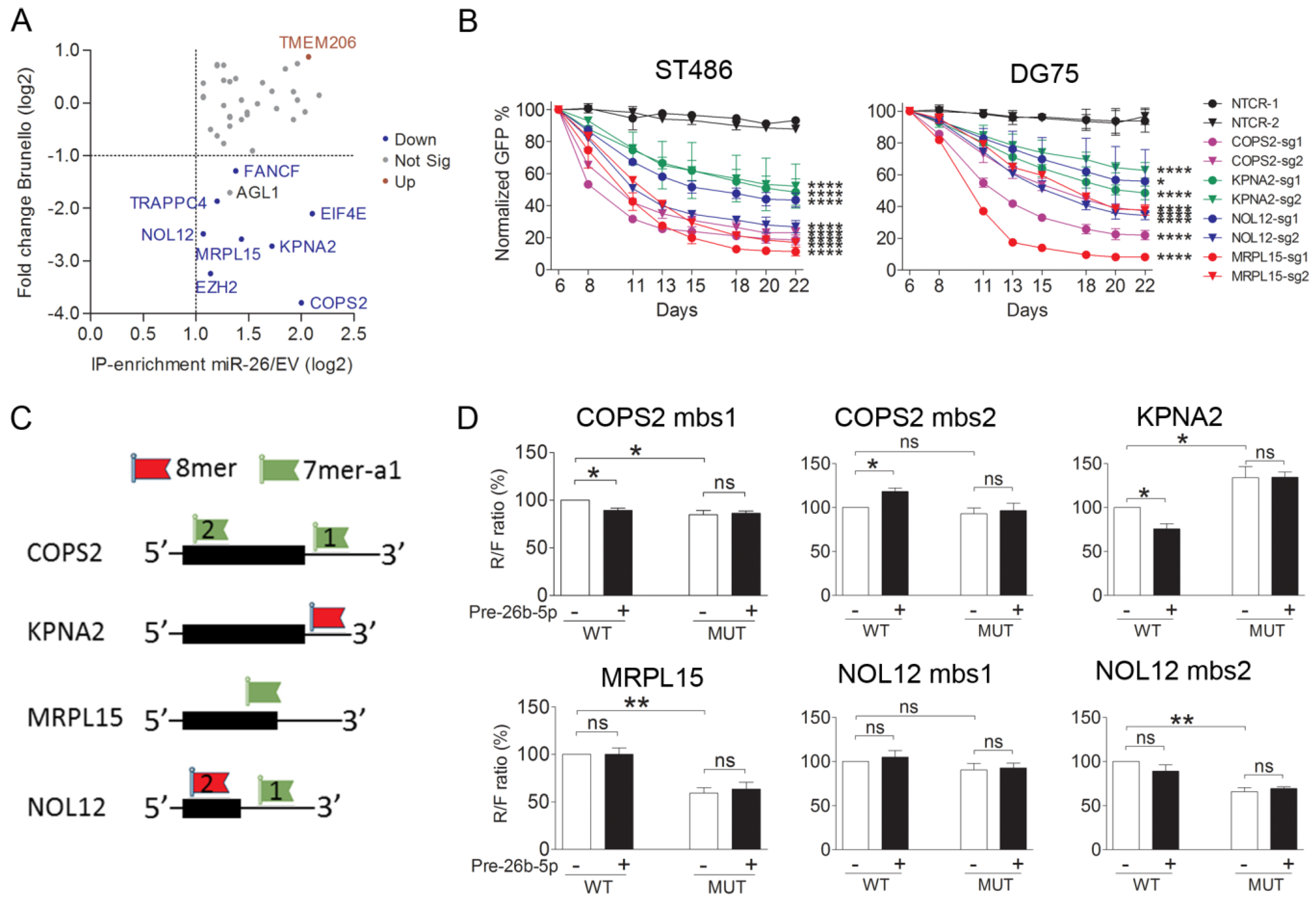 Cancers 12 01464 g004