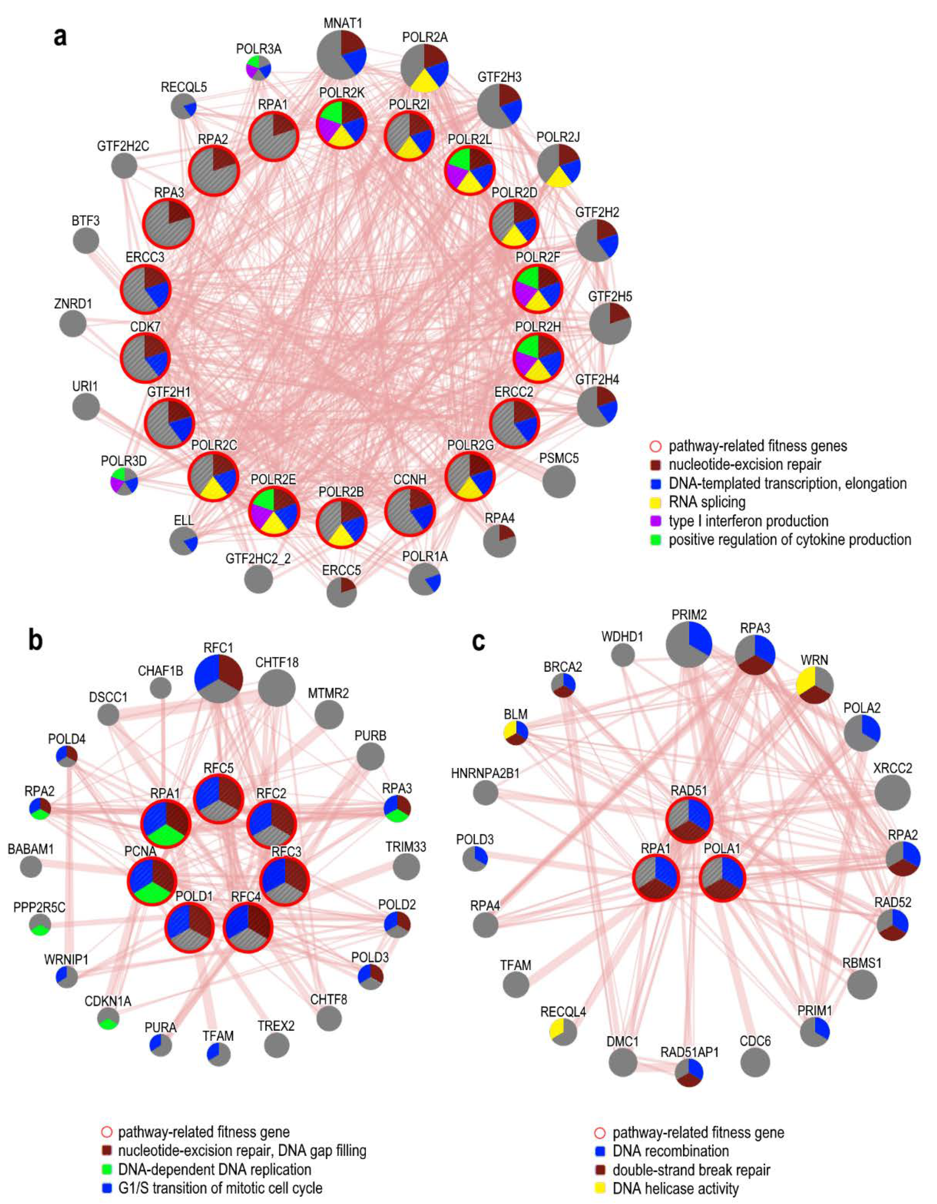 Cancers 12 01470 g001 Cancers 12 01470 g001