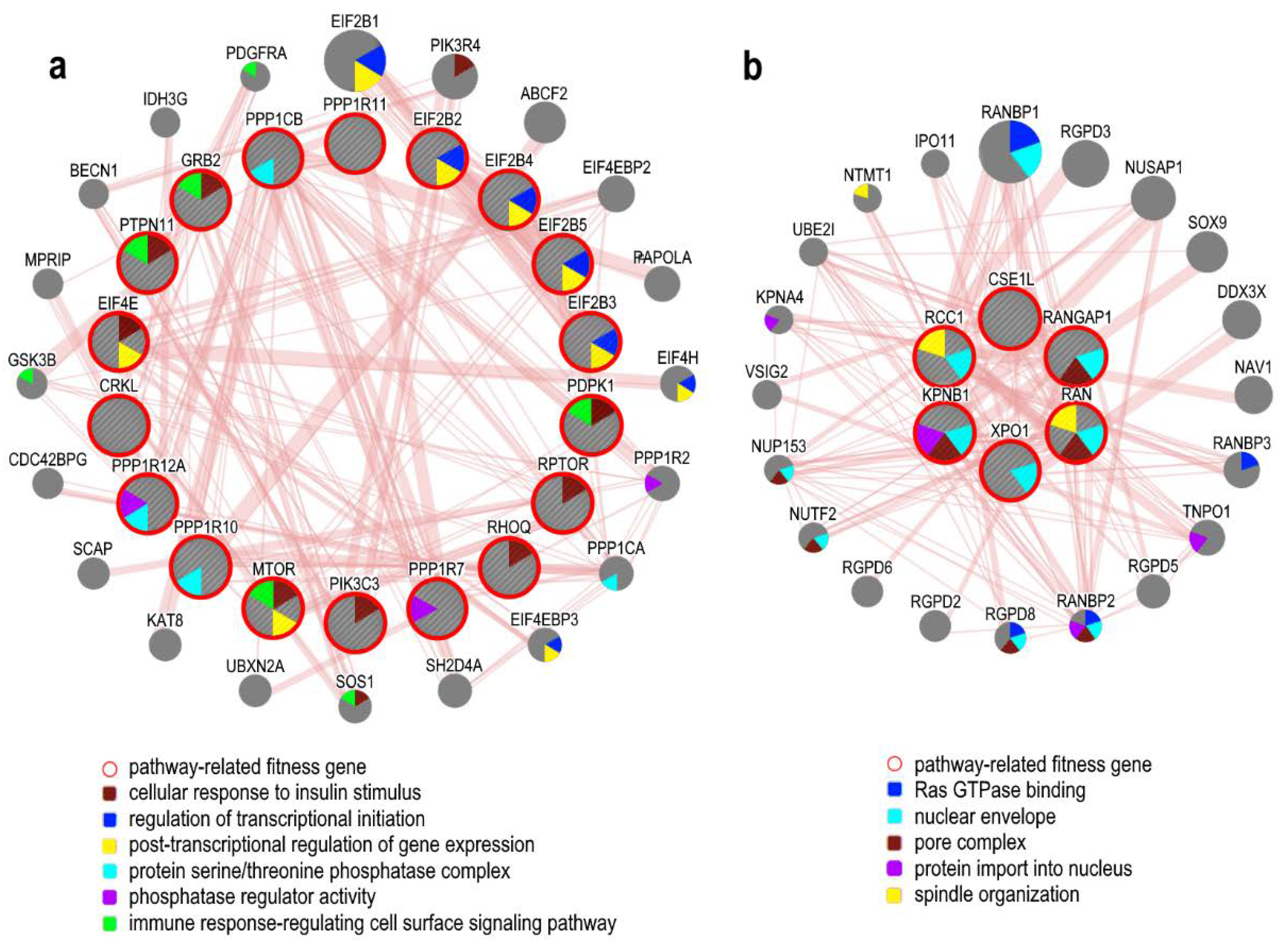 Cancers 12 01470 g003 Cancers 12 01470 g003