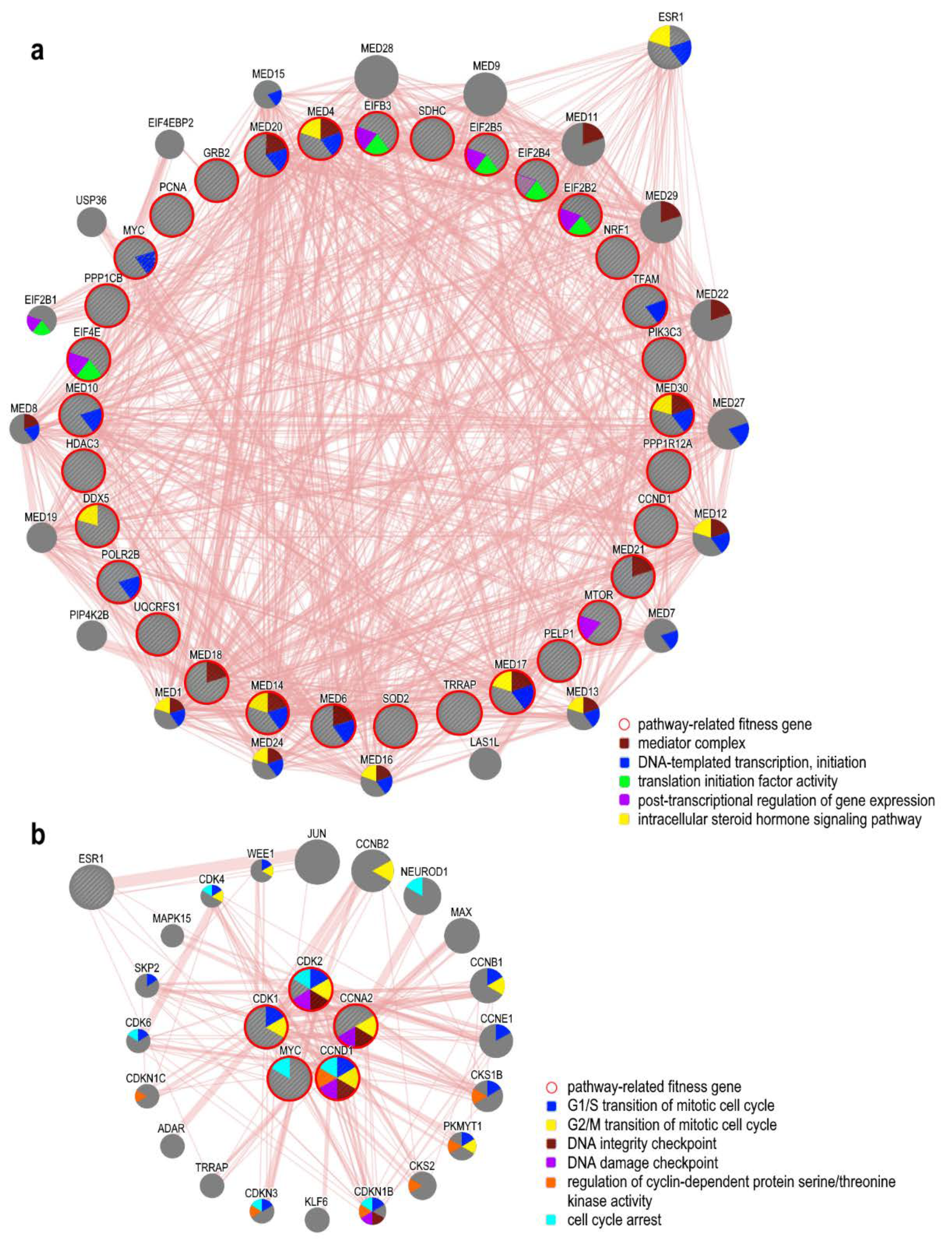 Cancers 12 01470 g004 Cancers 12 01470 g004