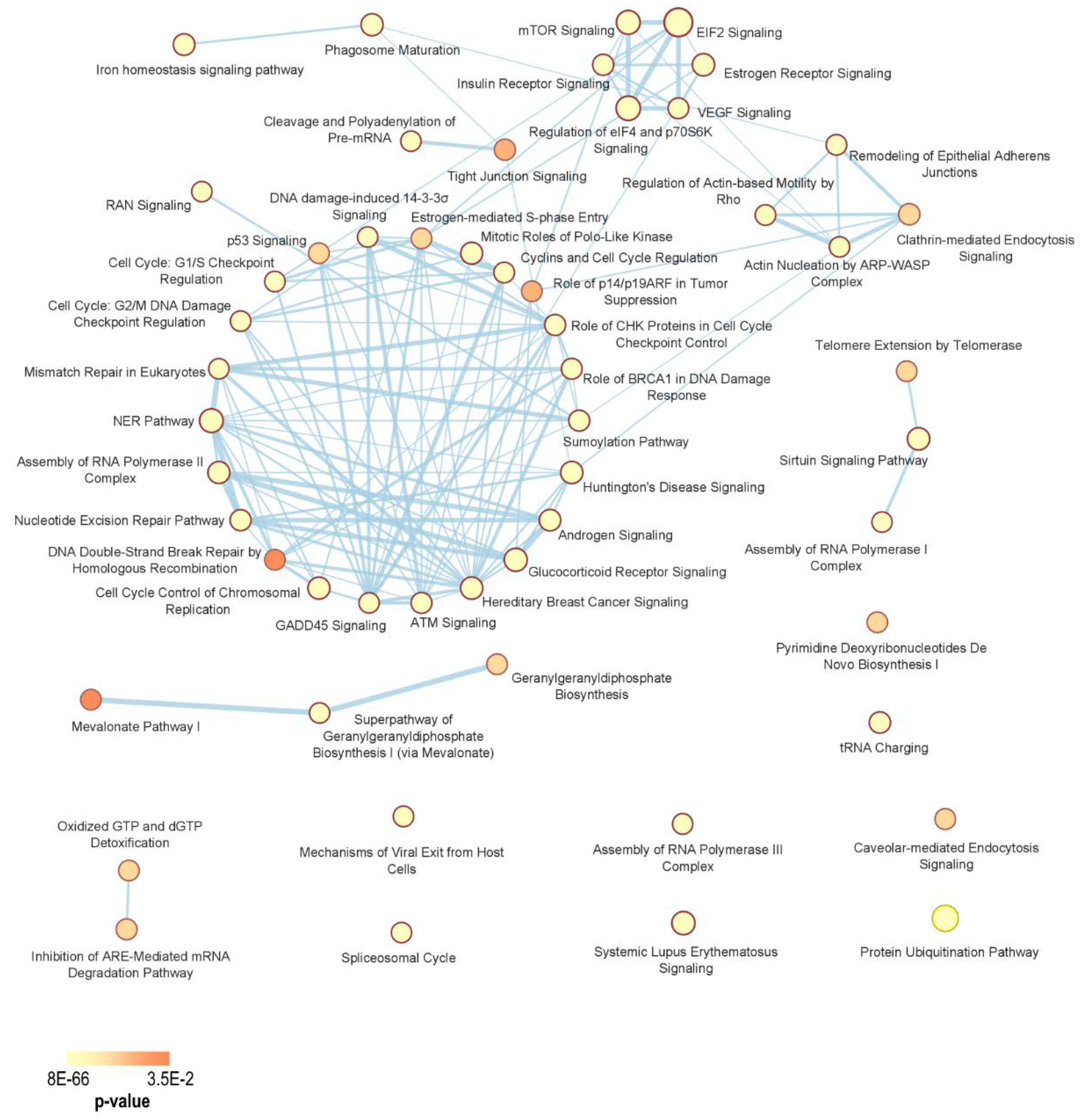 Cancers 12 01470 g006 Cancers 12 01470 g006