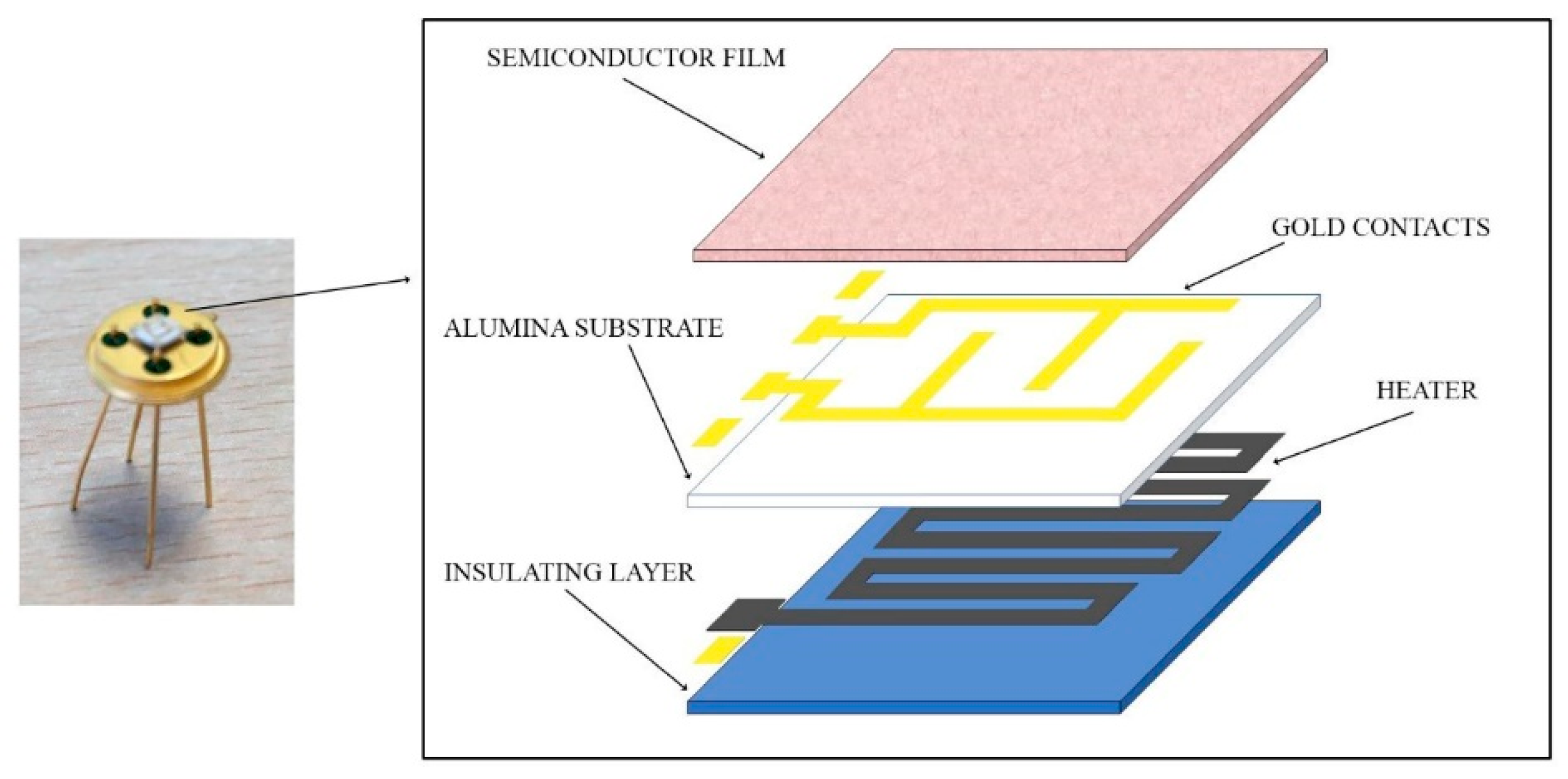 Cancers 12 01471 g002