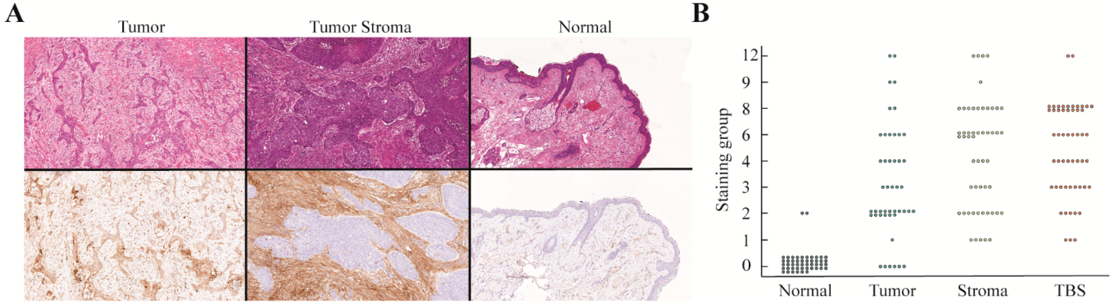 Cancers 12 01474 g003