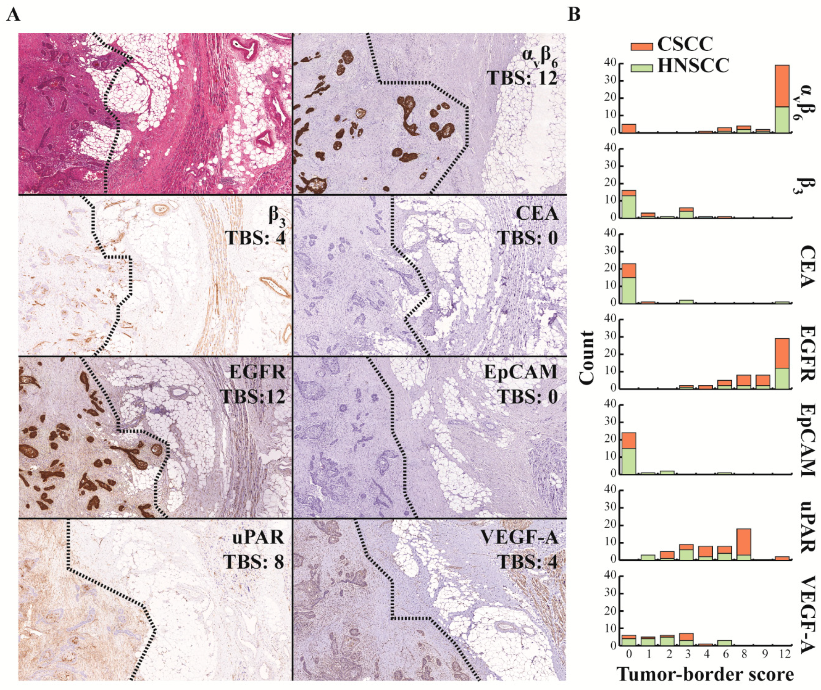 Cancers 12 01474 g004