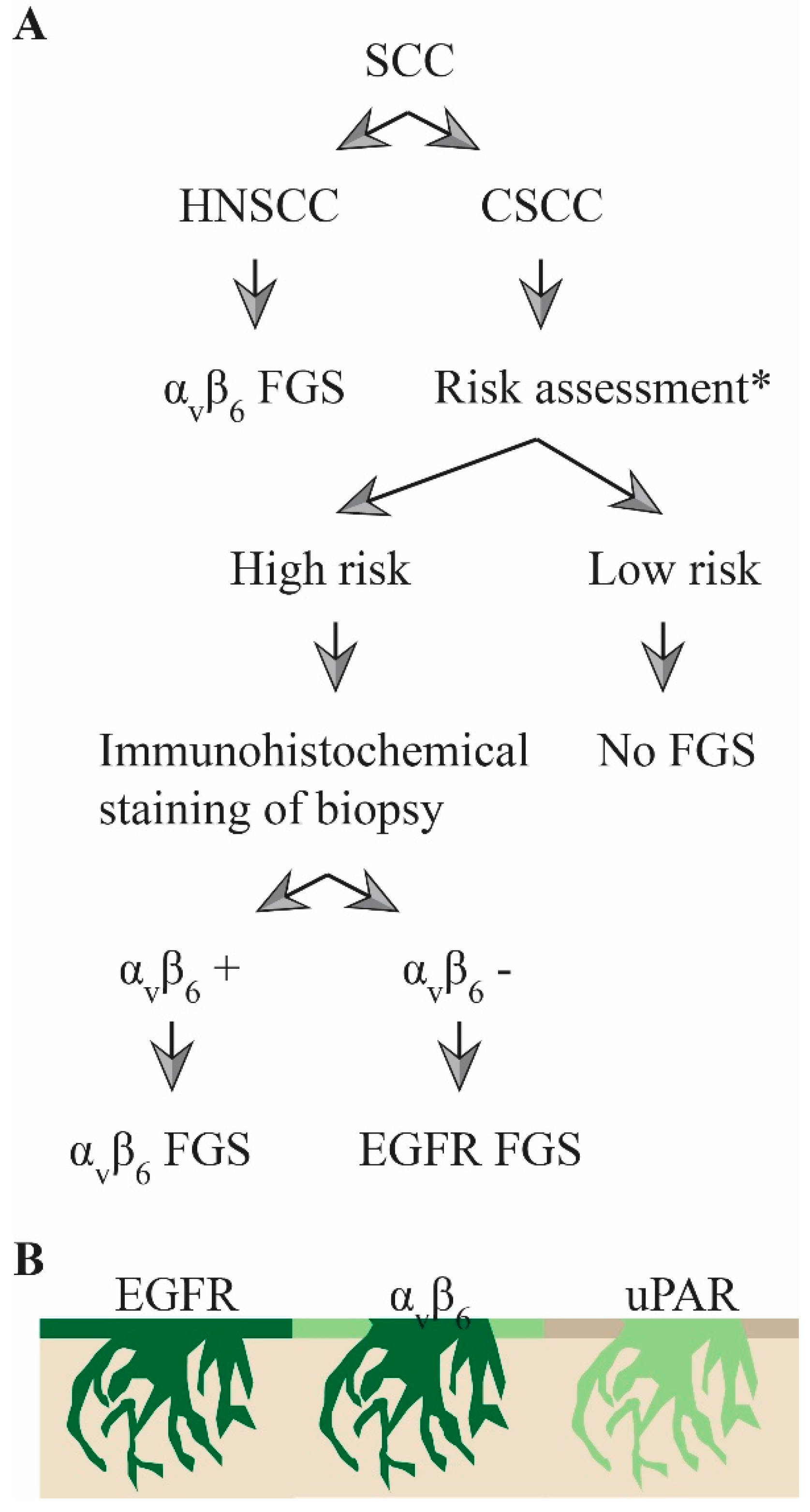 Cancers 12 01474 g005