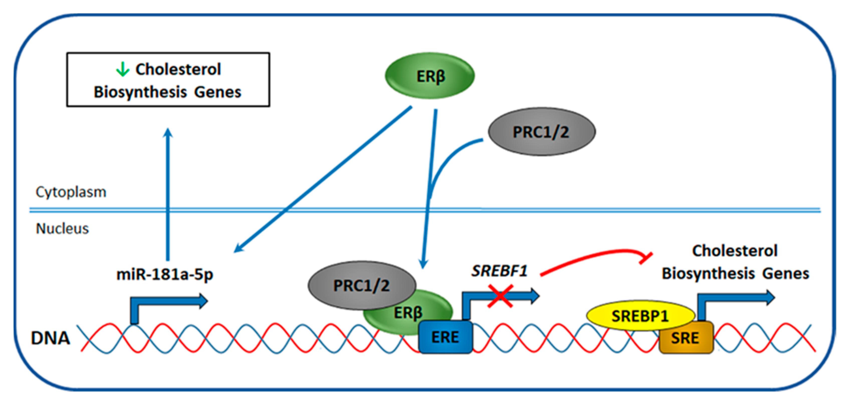 Cancers 12 01477 g006