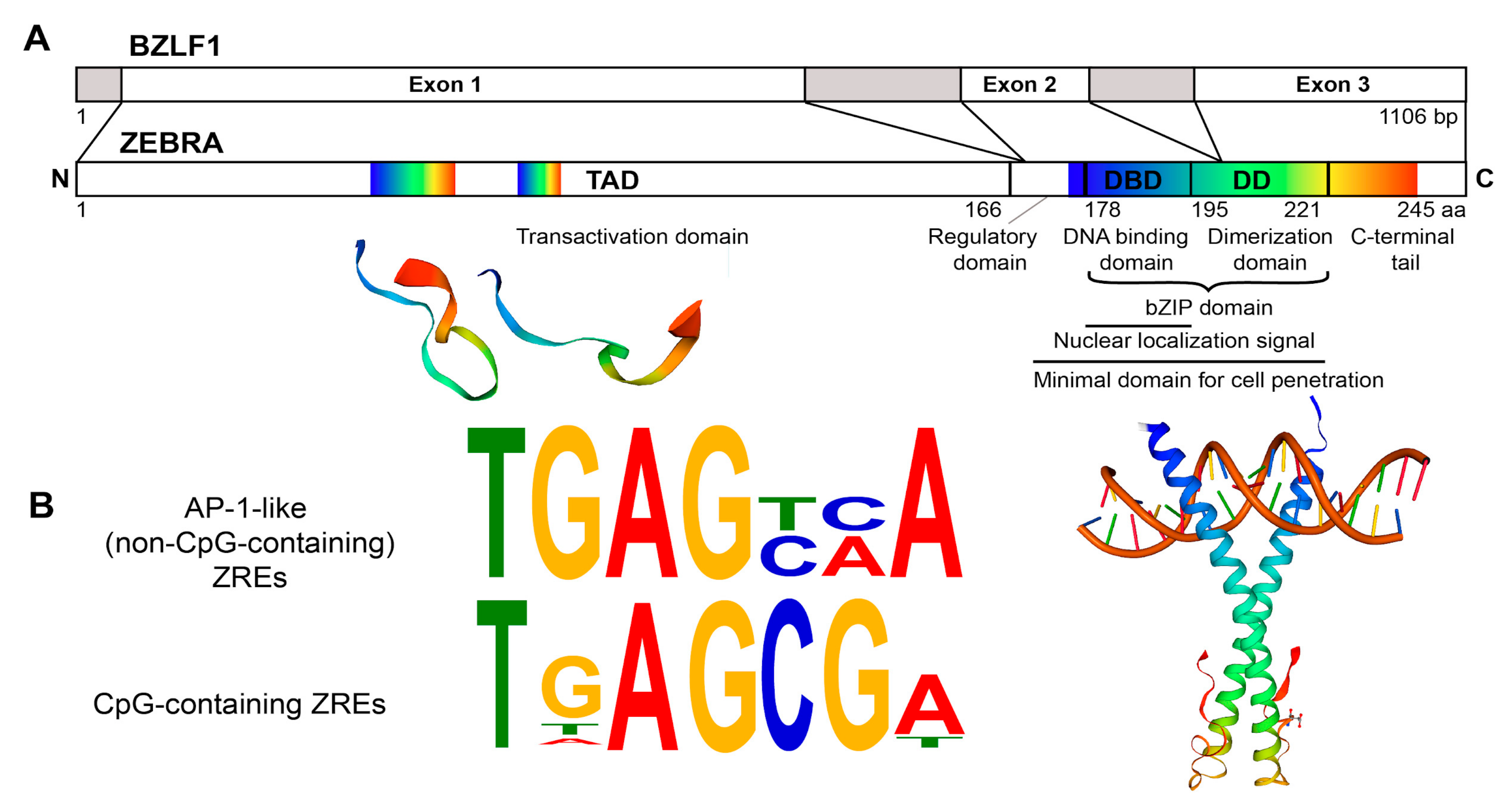 Cancers 12 01479 g002