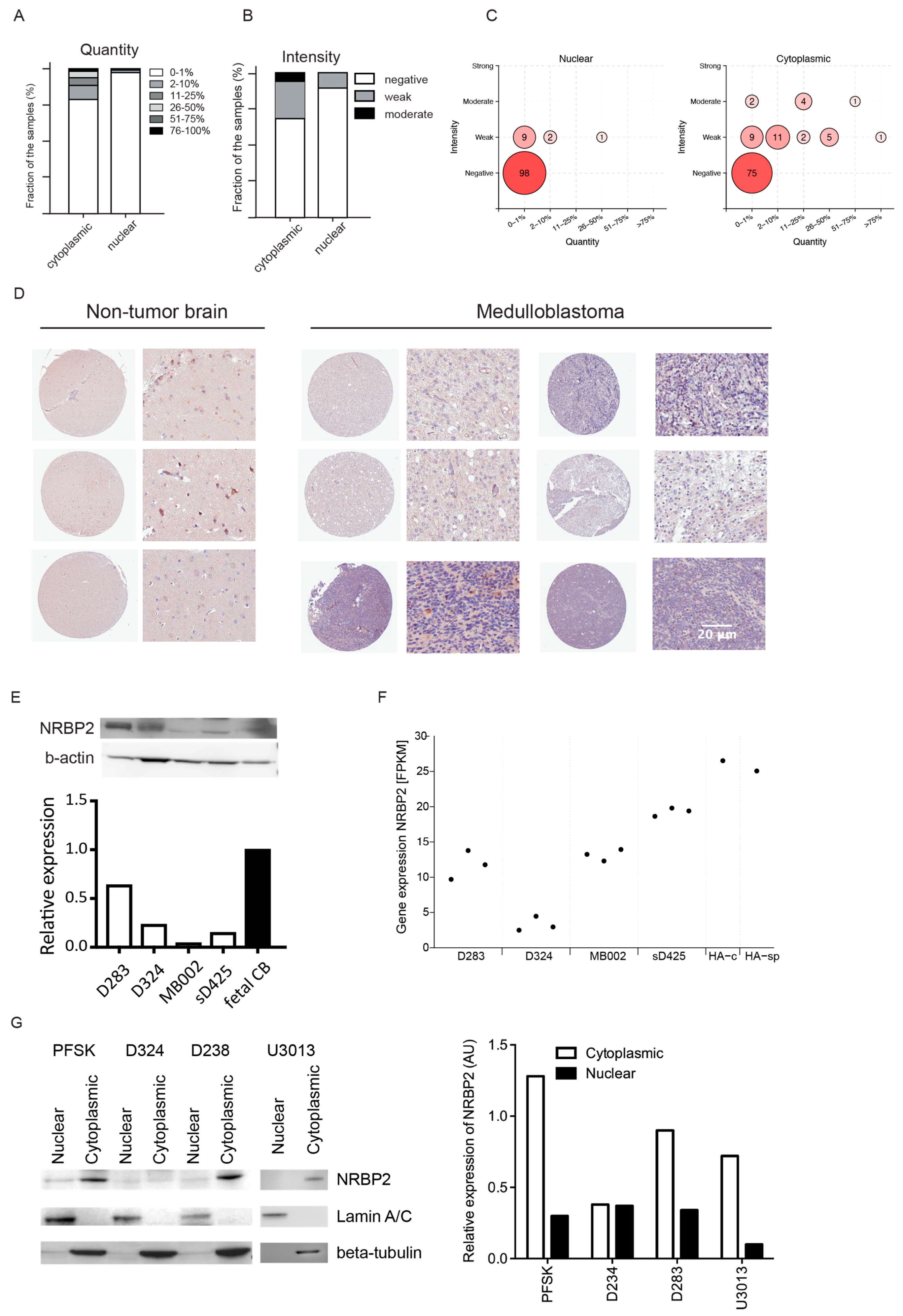 Cancers 12 01483 g001 Cancers 12 01483 g001