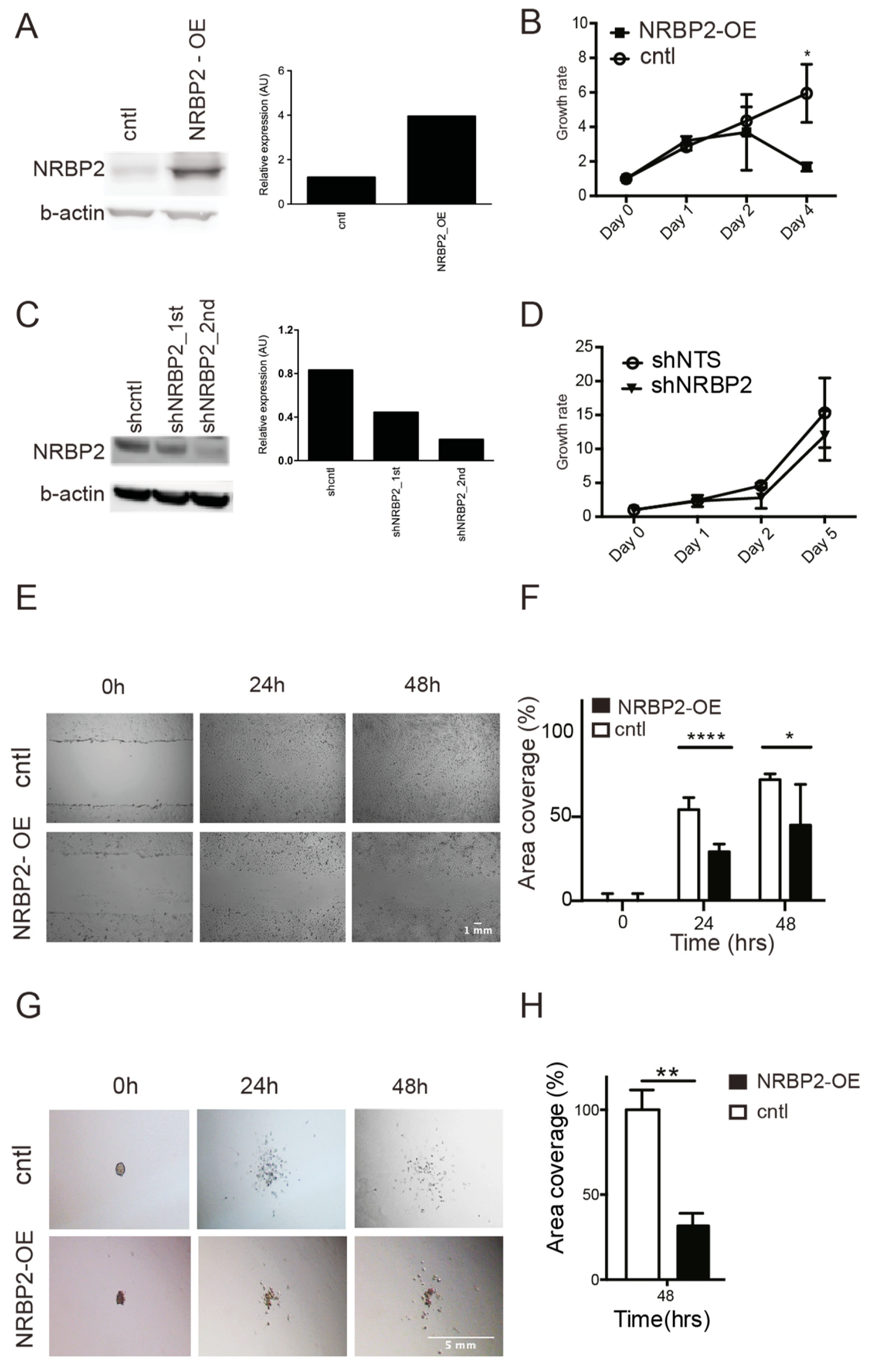 Cancers 12 01483 g004 Cancers 12 01483 g004