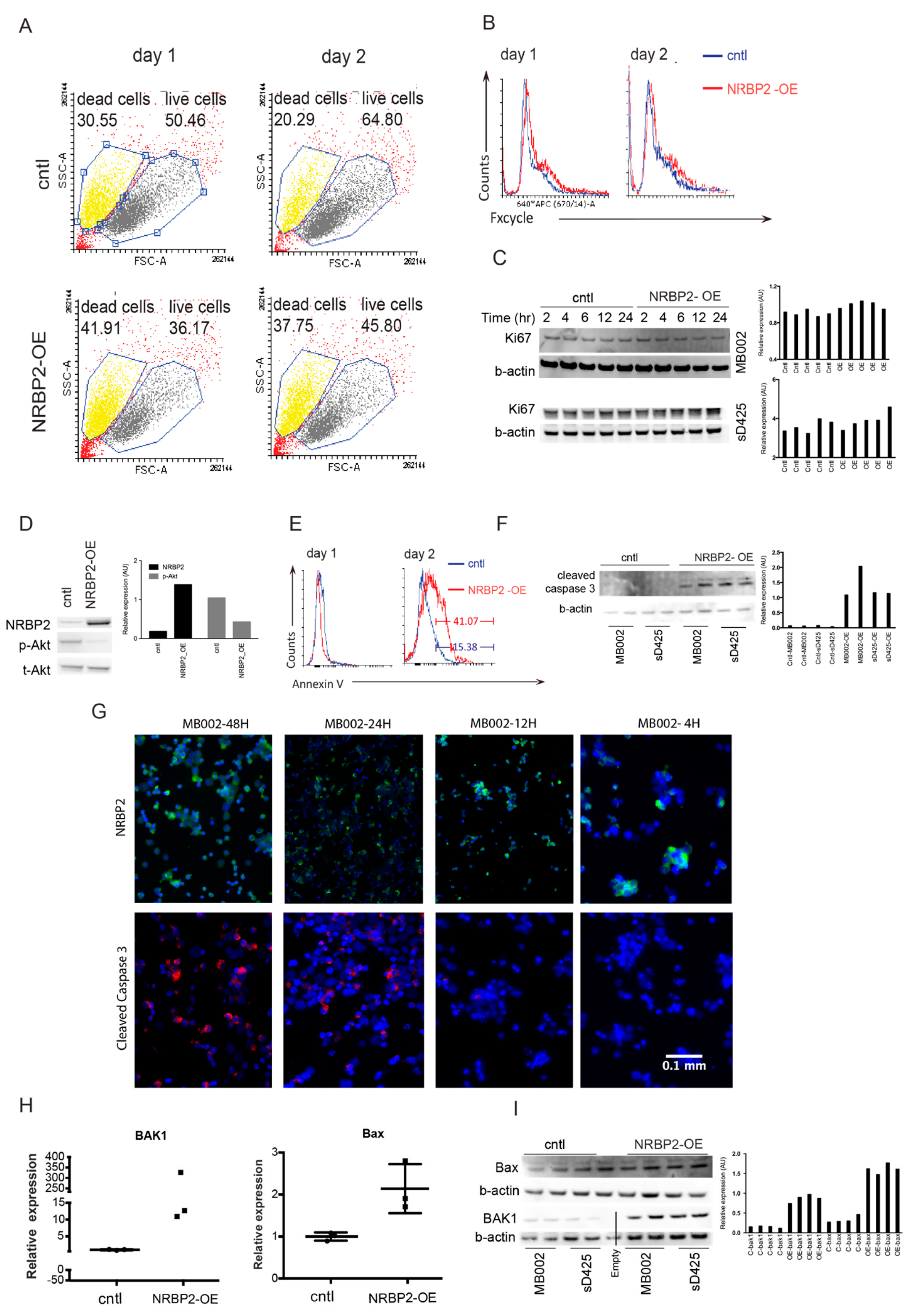 Cancers 12 01483 g005 Cancers 12 01483 g005