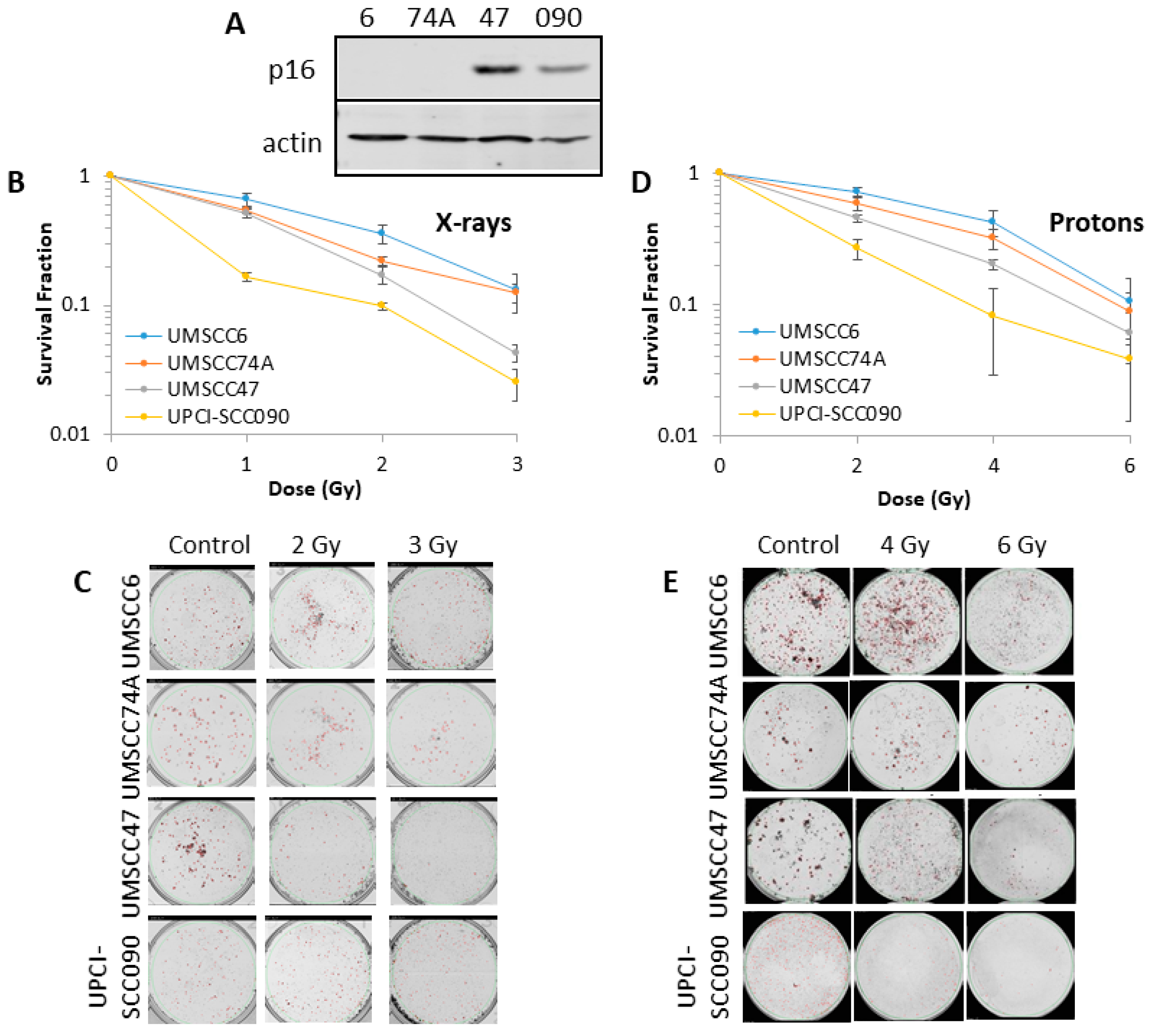Cancers 12 01490 g001