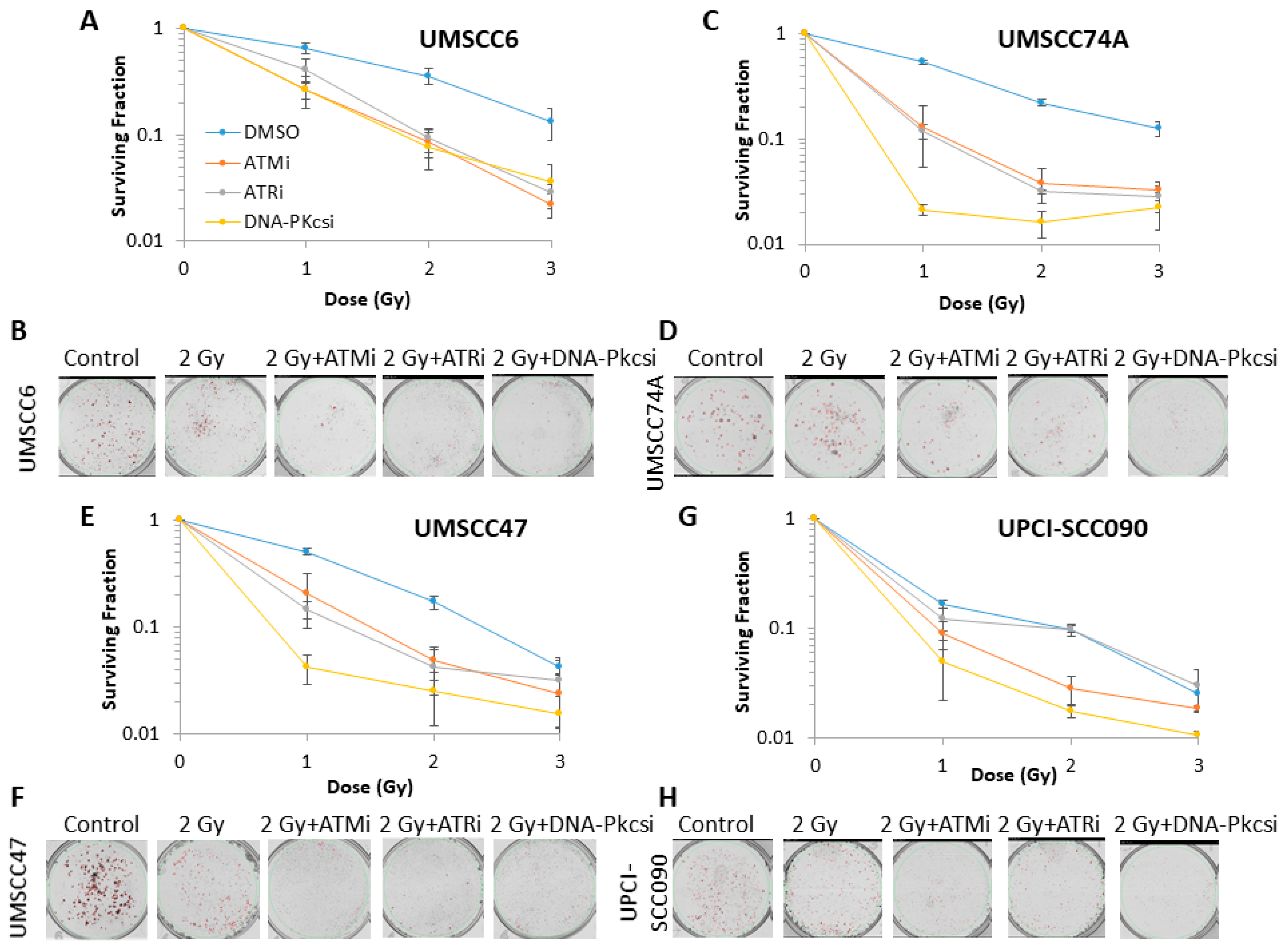 Cancers 12 01490 g002