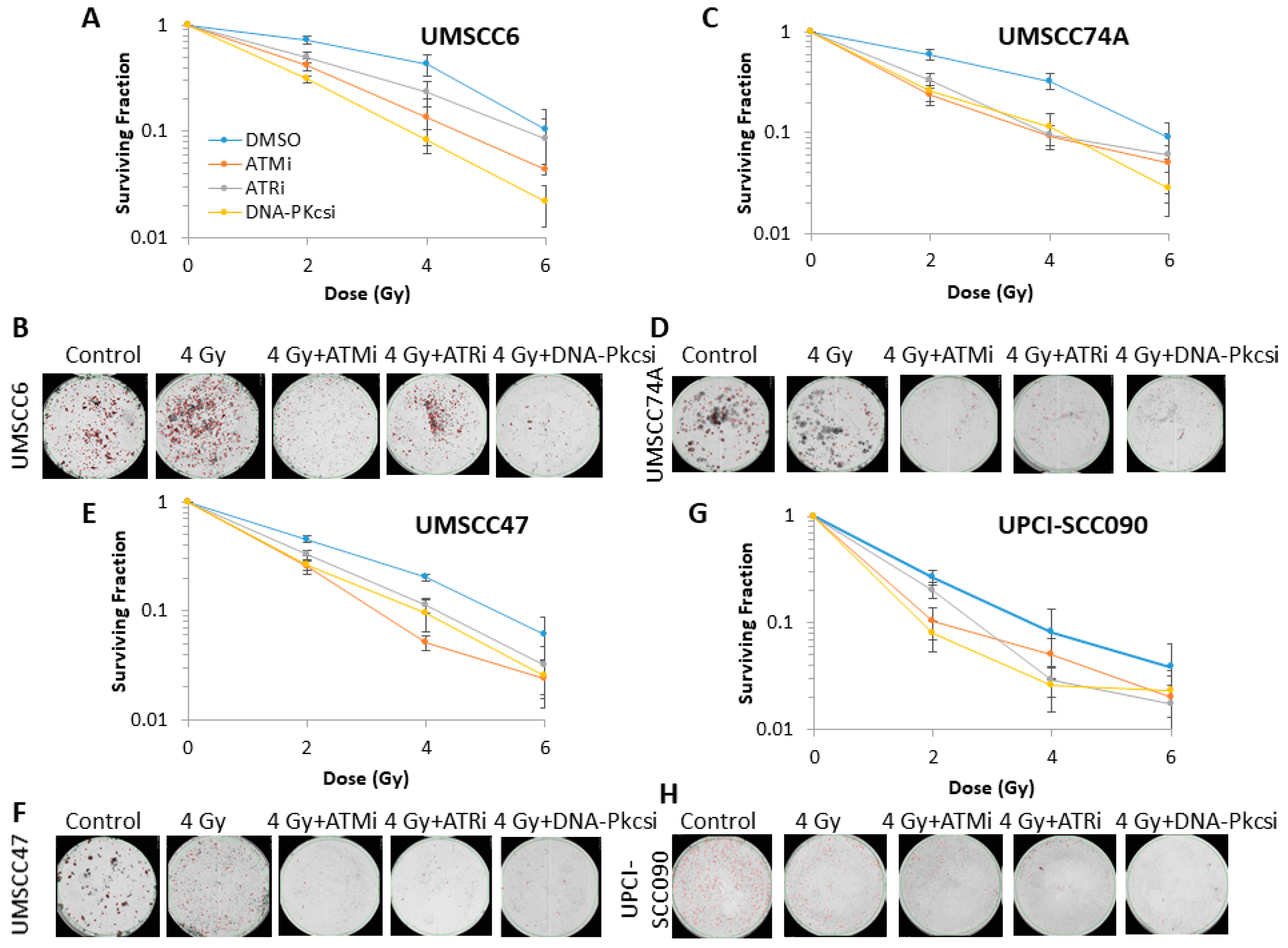 Cancers 12 01490 g003