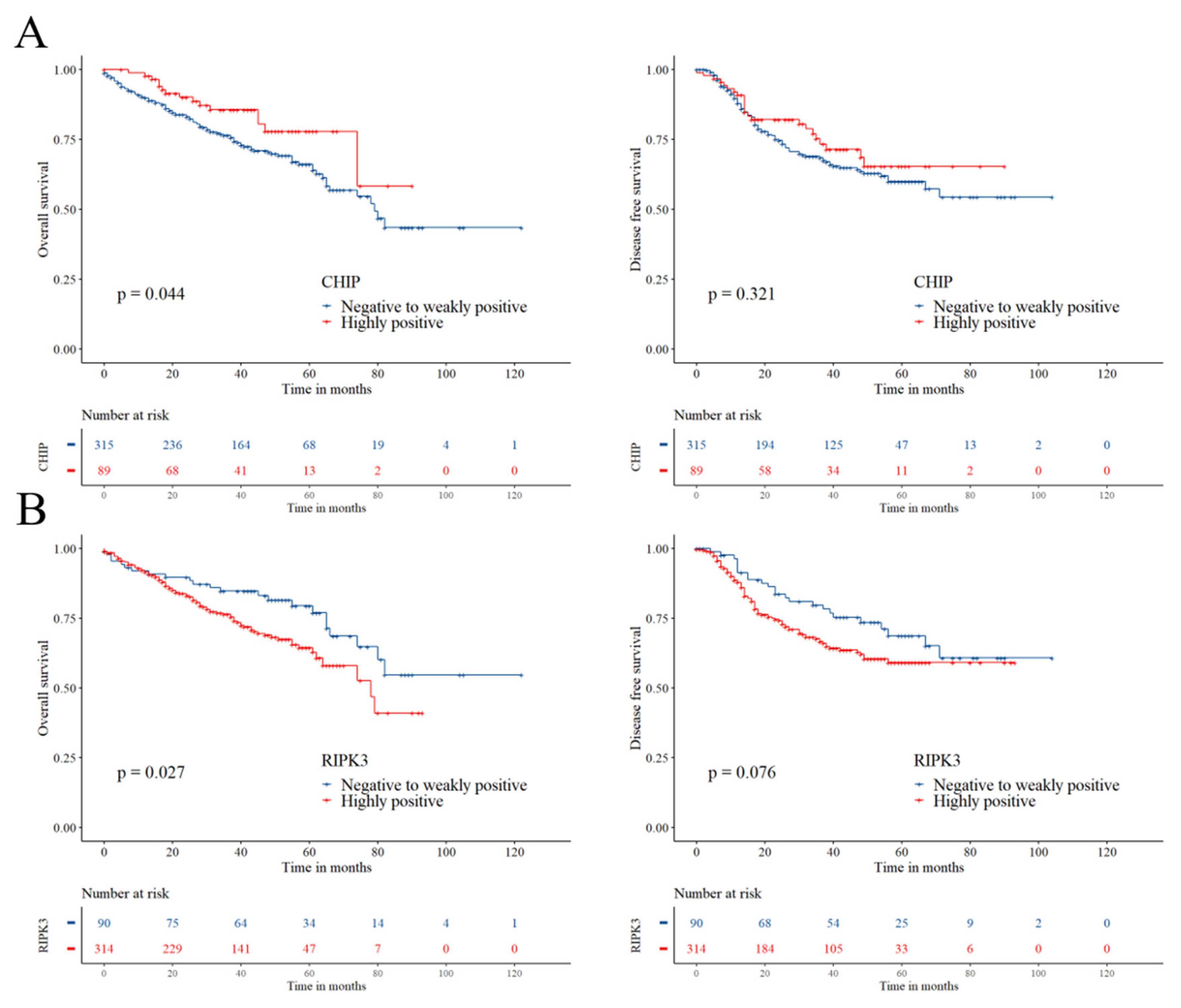 Cancers 12 01496 g003