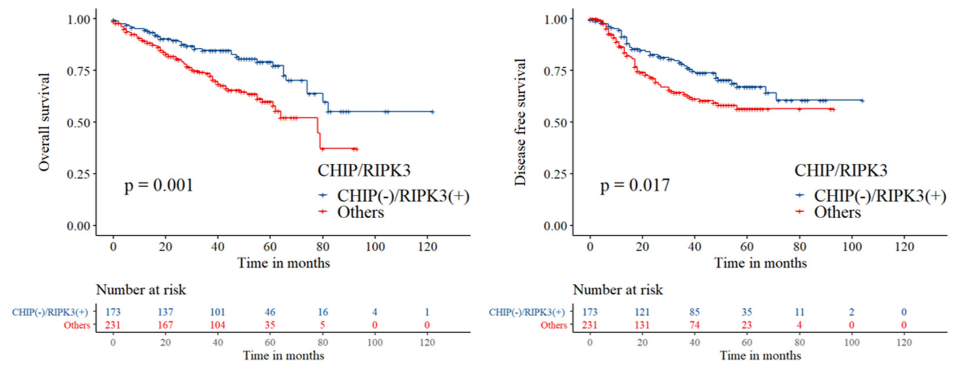 Cancers 12 01496 g004