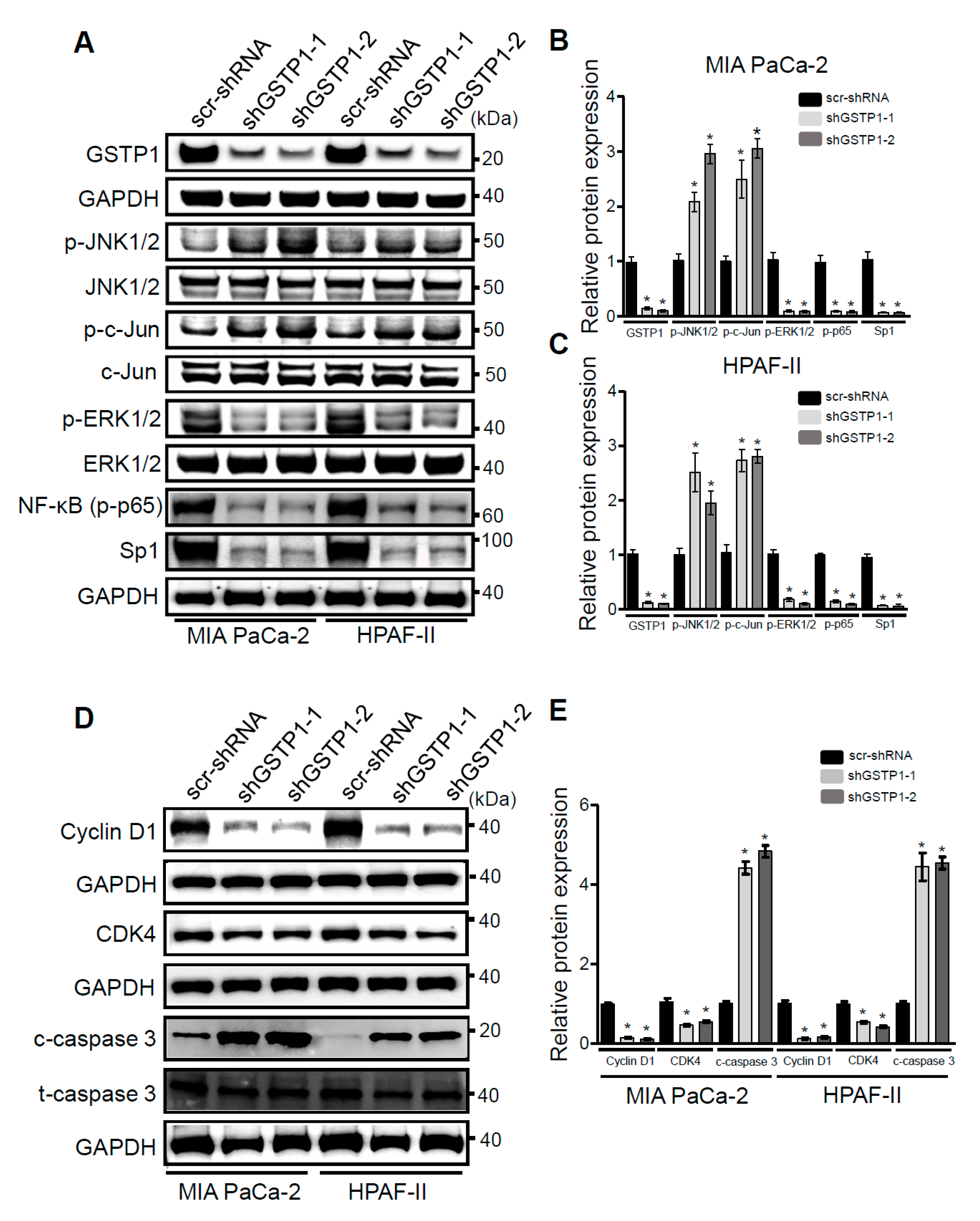 Cancers 12 01501 g004a