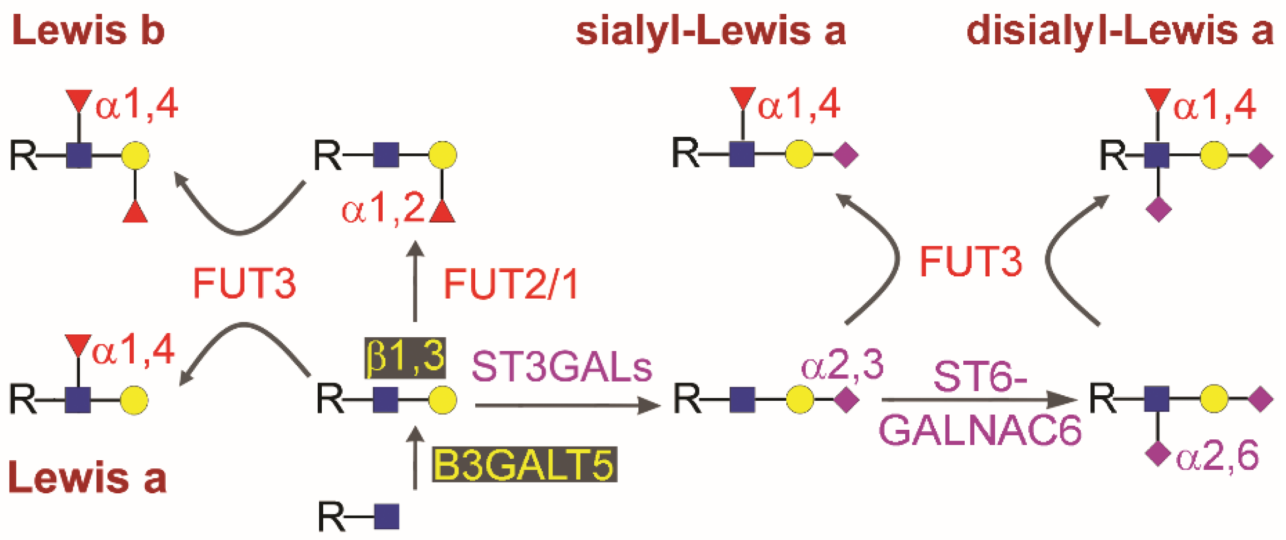 Cancers Free FullText Complementary Use of Carbohydrate Antigens