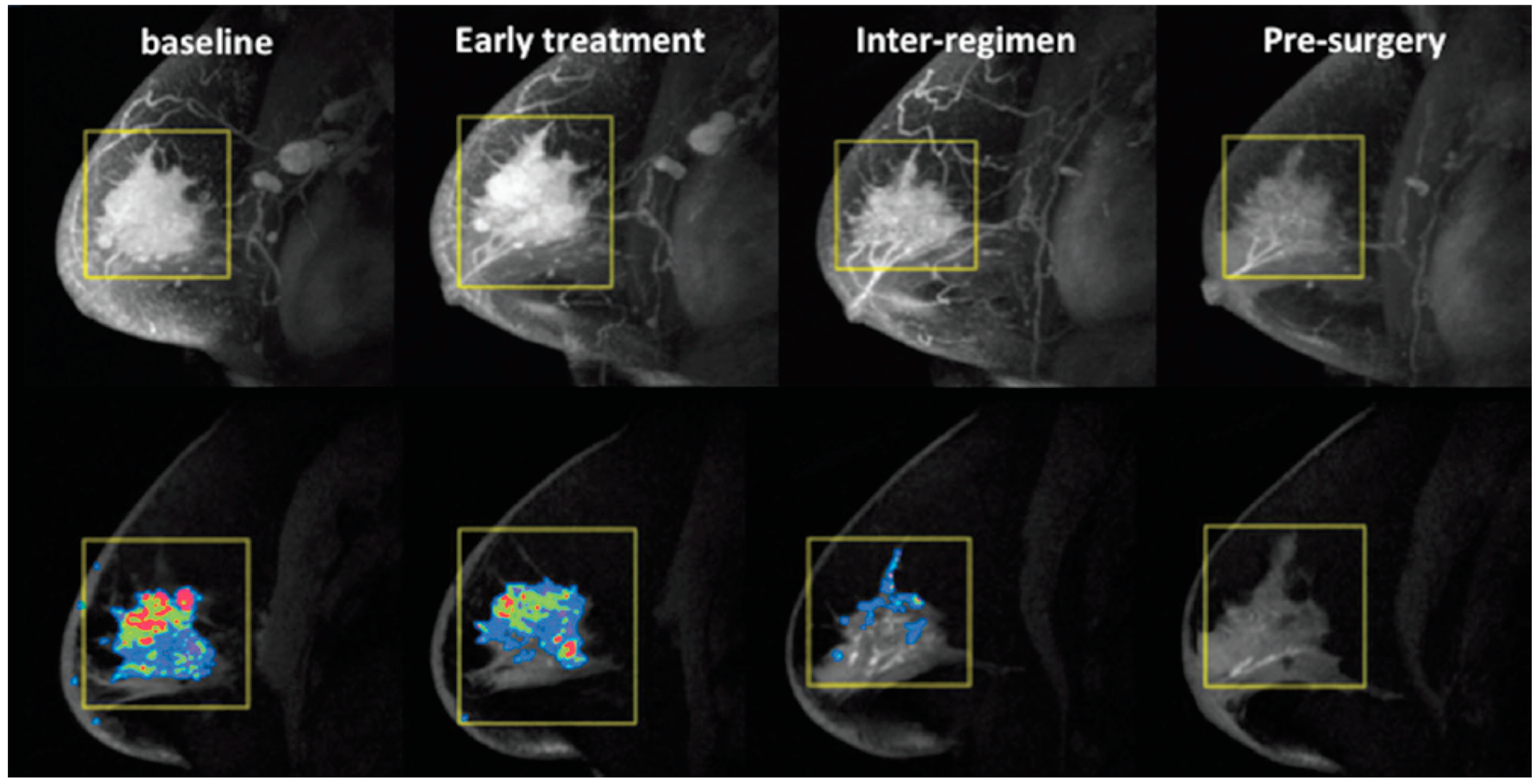 Cancers 12 01511 g003 Cancers 12 01511 g003