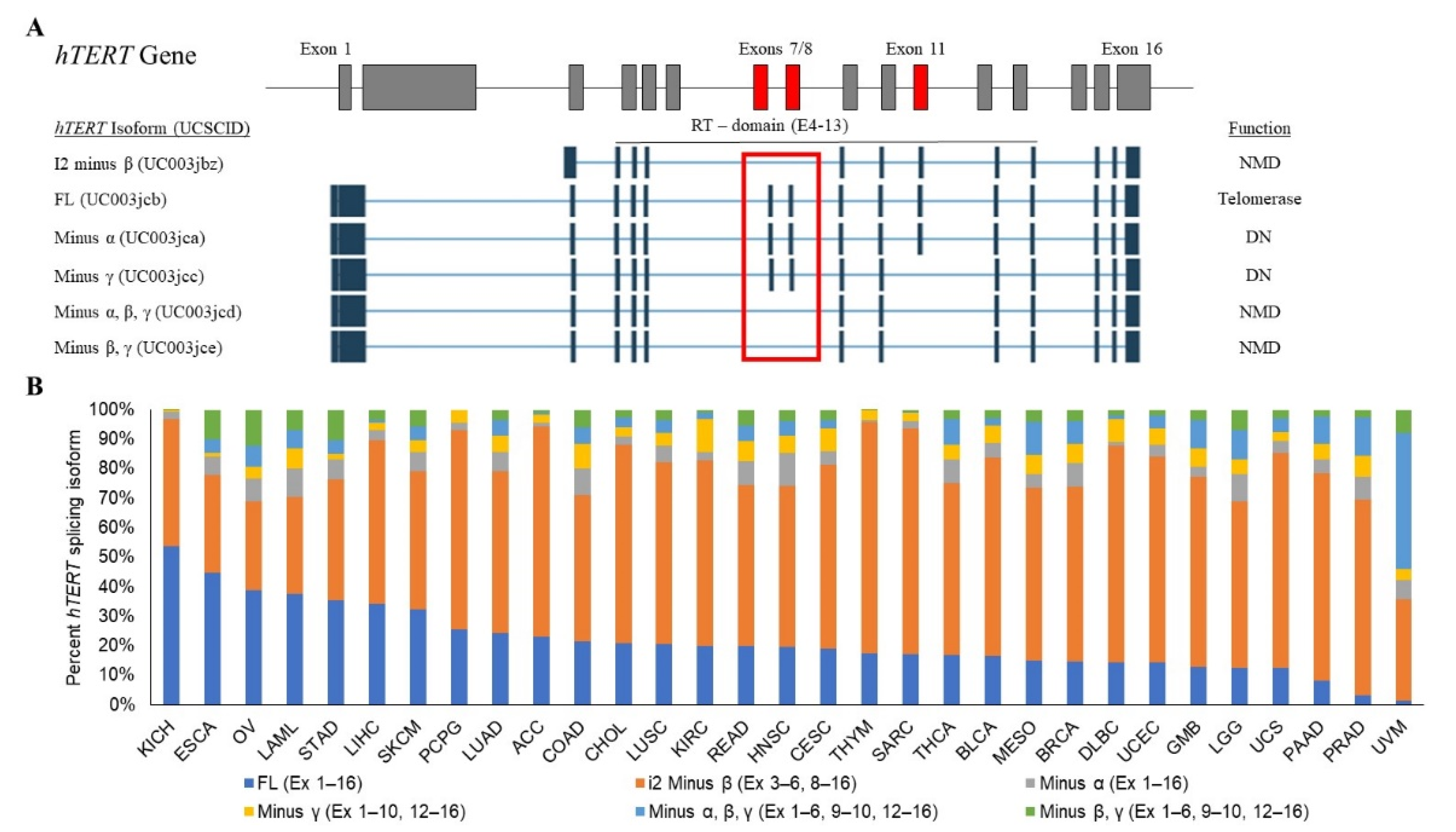 Cancers 12 01514 g001