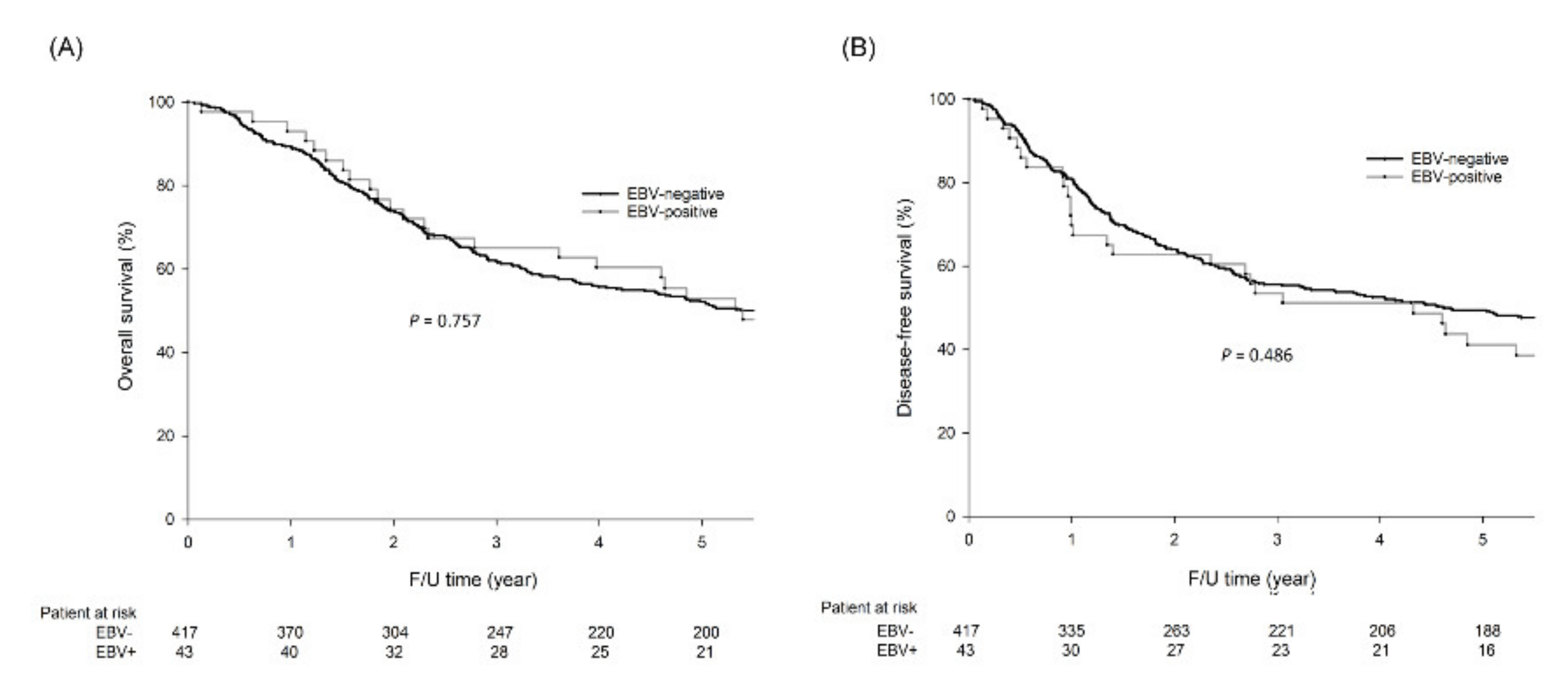 Cancers 12 01517 g003 Cancers 12 01517 g003