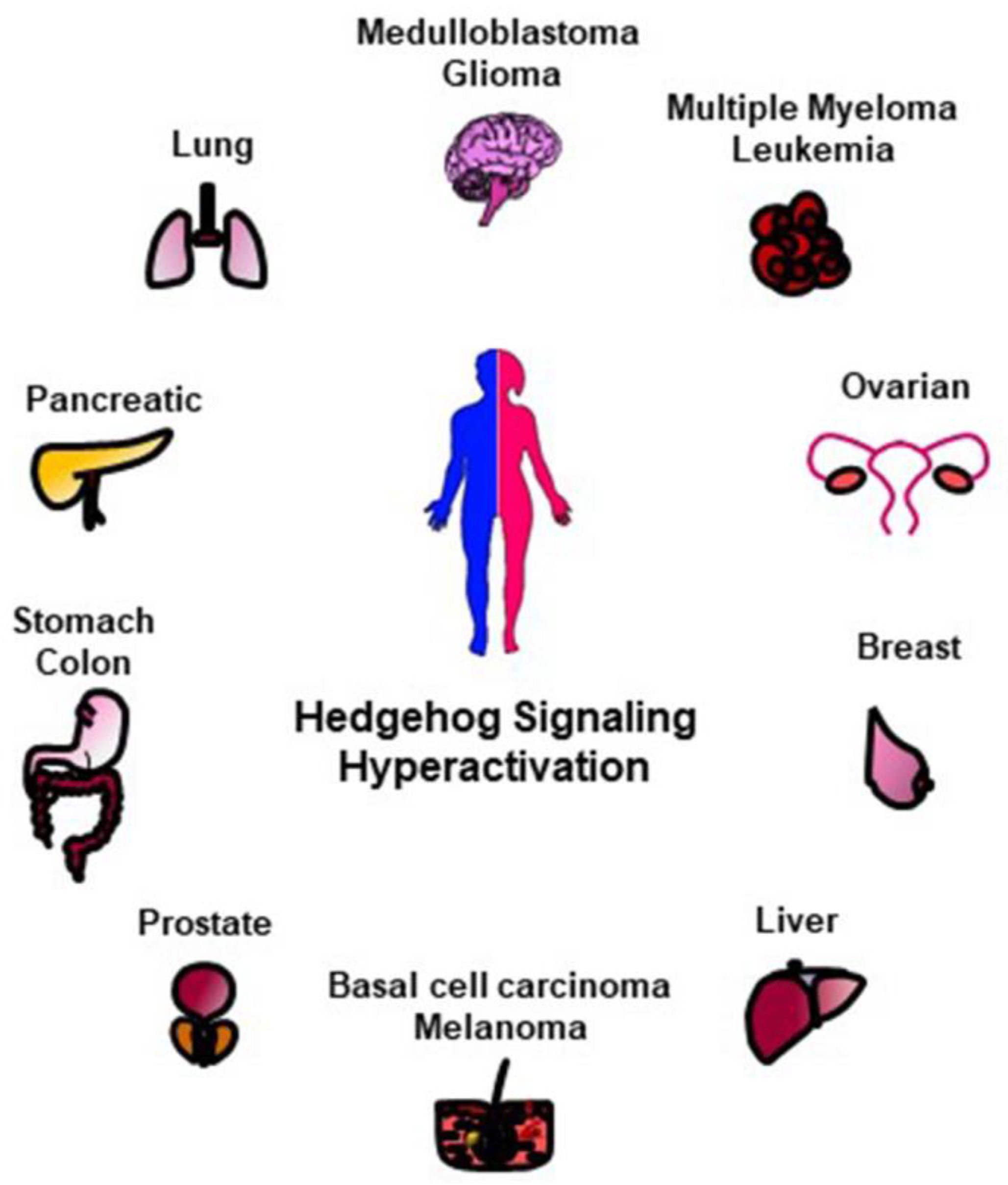 Cancers 12 01518 g002