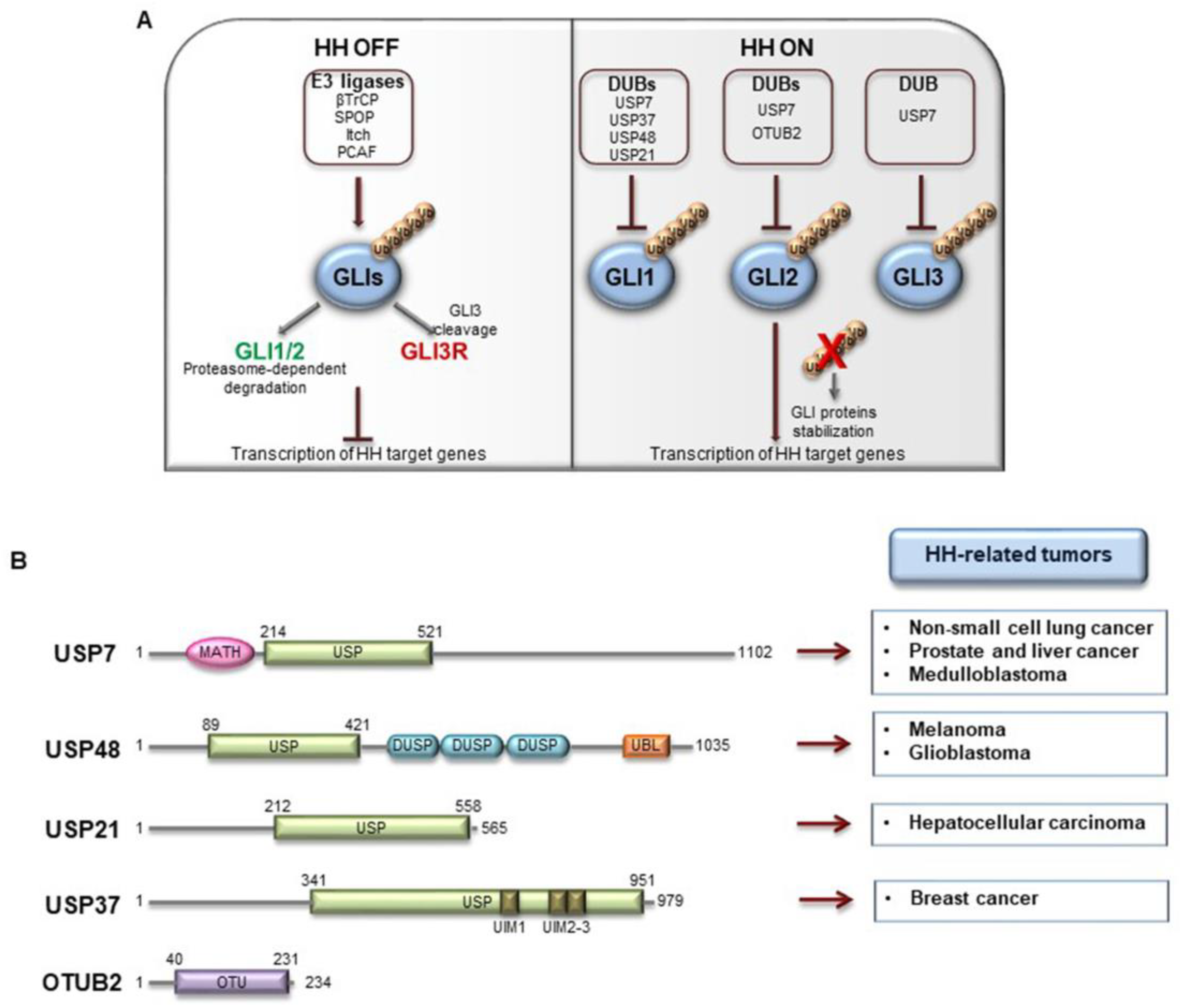 Cancers 12 01518 g005