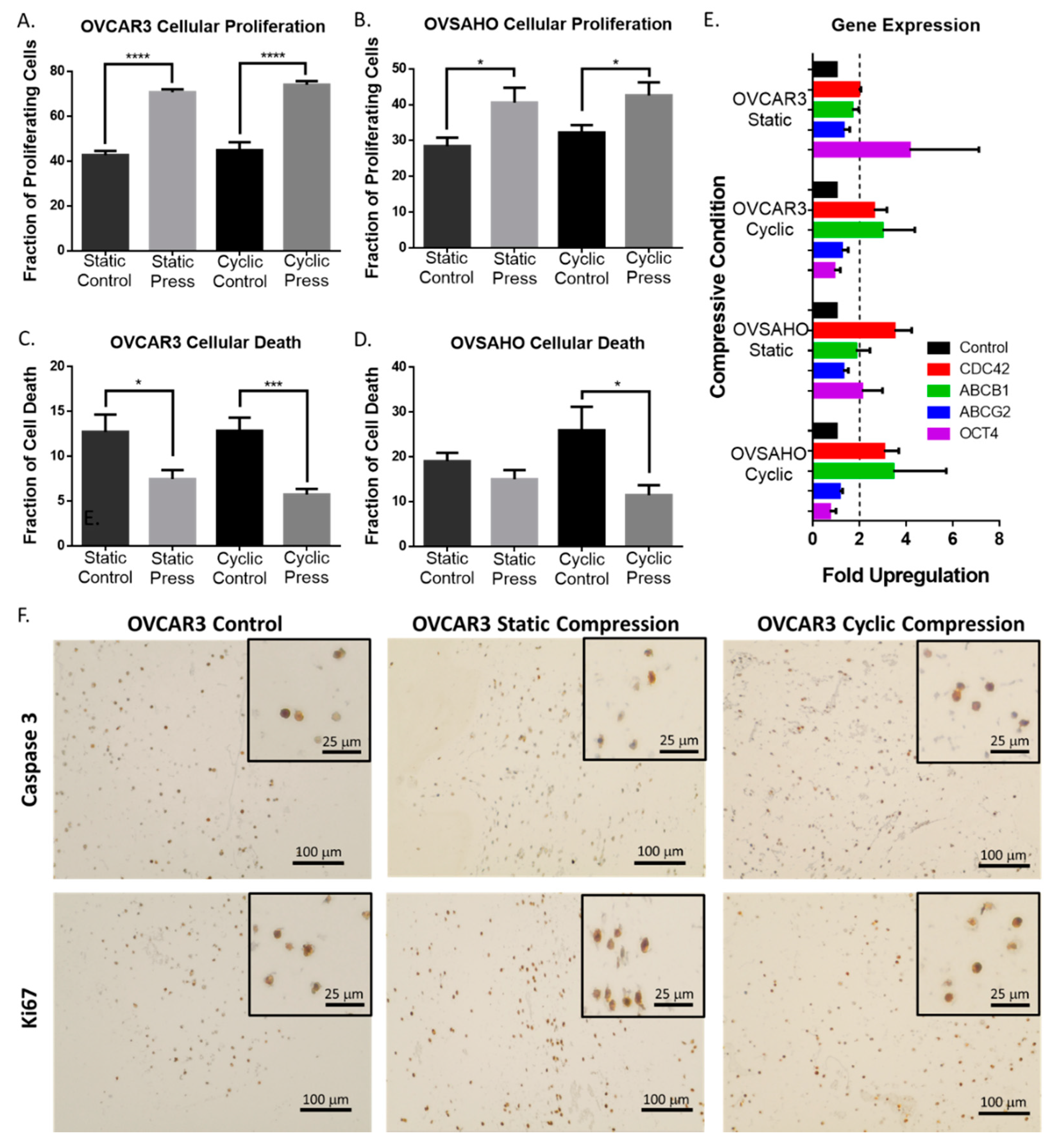 Cancers 12 01521 g003 Cancers 12 01521 g003