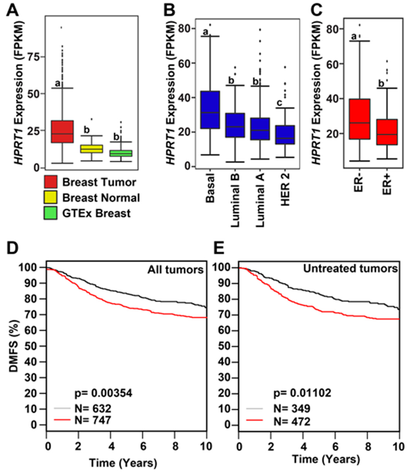 Cancers 12 01522 g002 Cancers 12 01522 g002