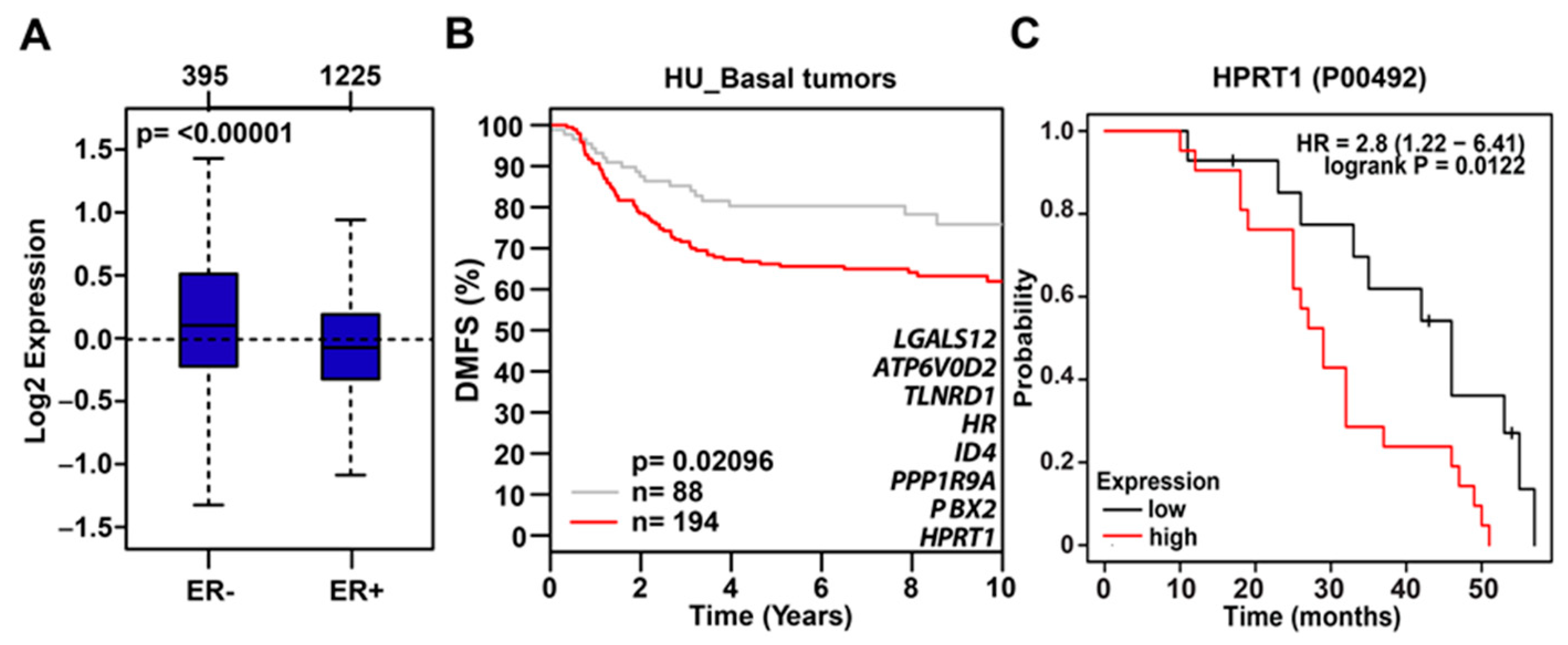 Cancers 12 01522 g004 Cancers 12 01522 g004