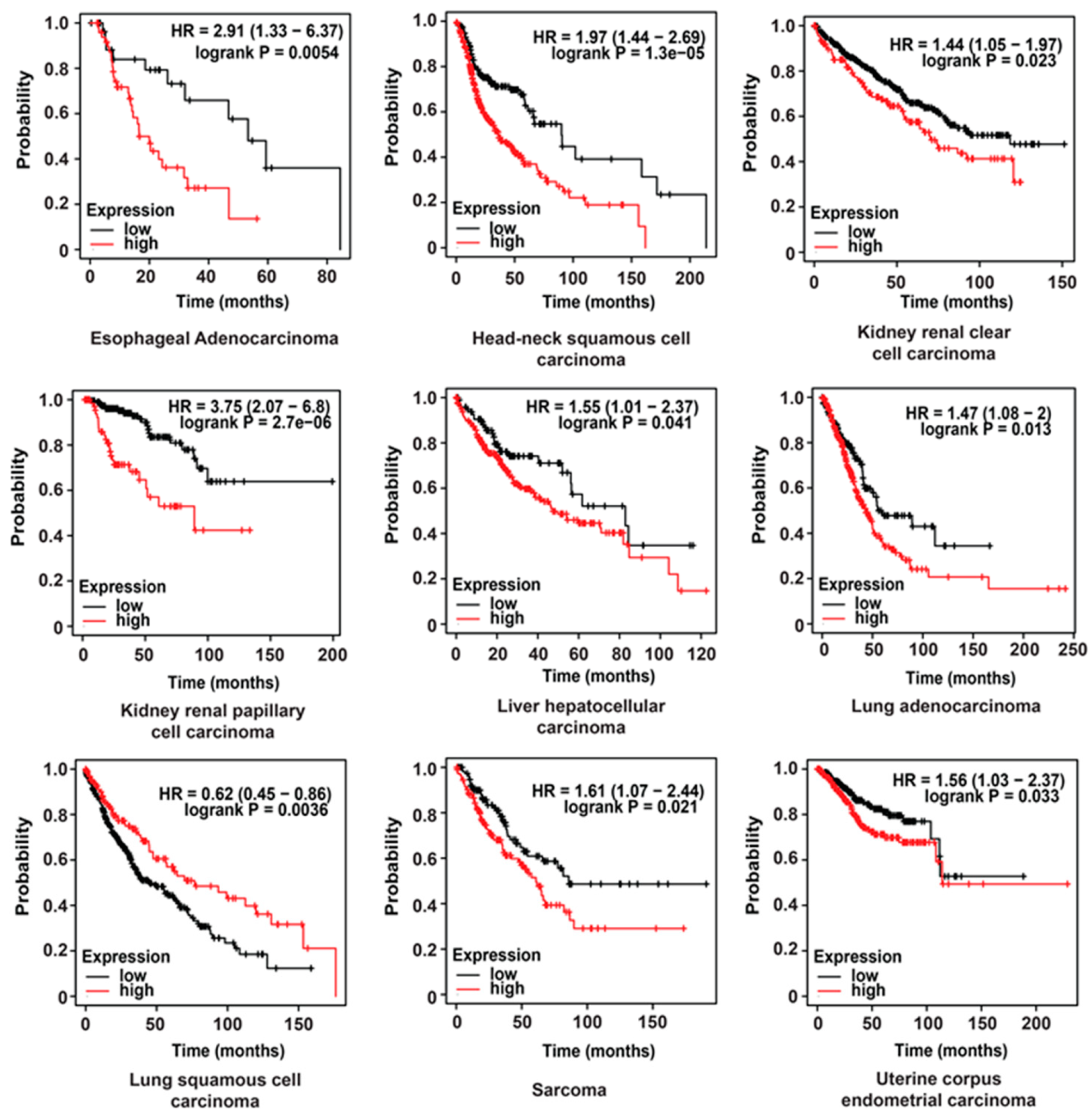 Cancers 12 01522 g006 Cancers 12 01522 g006