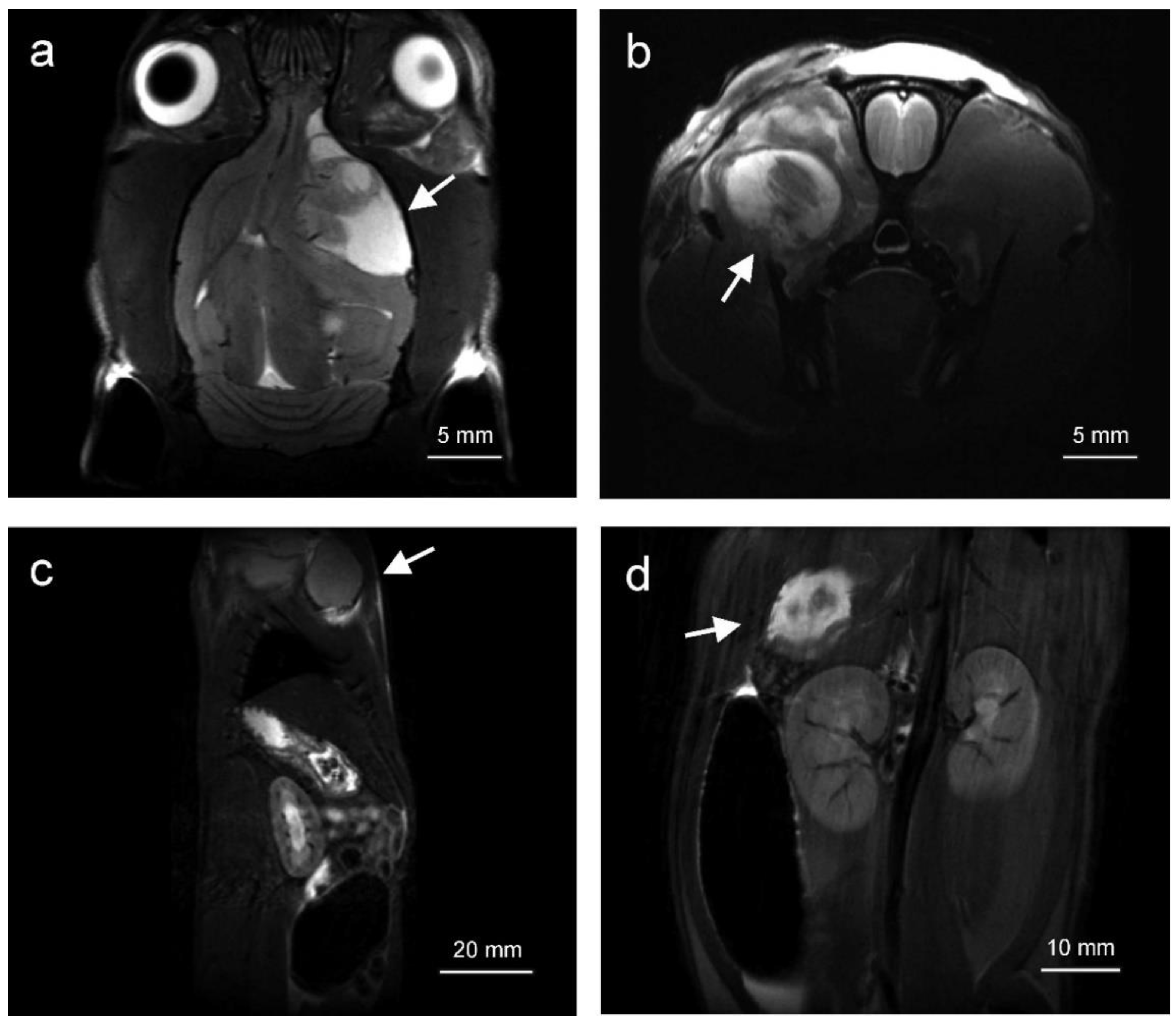 Cancers 12 01525 g002 Cancers 12 01525 g002