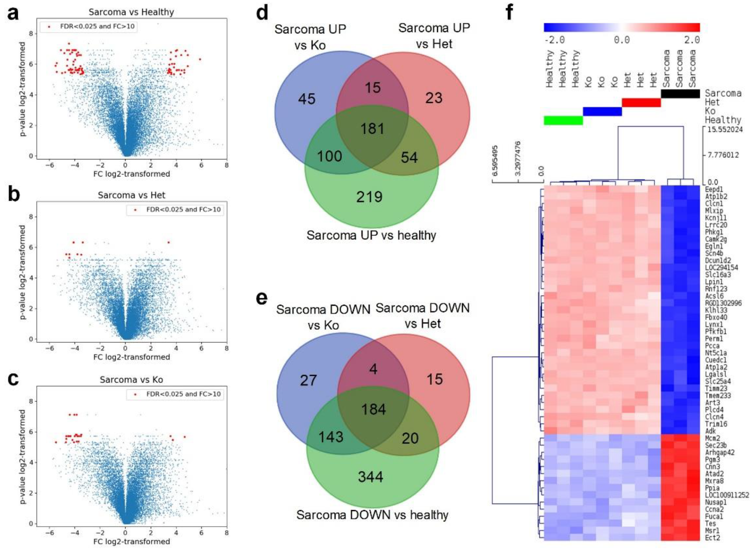 Cancers 12 01525 g004 Cancers 12 01525 g004
