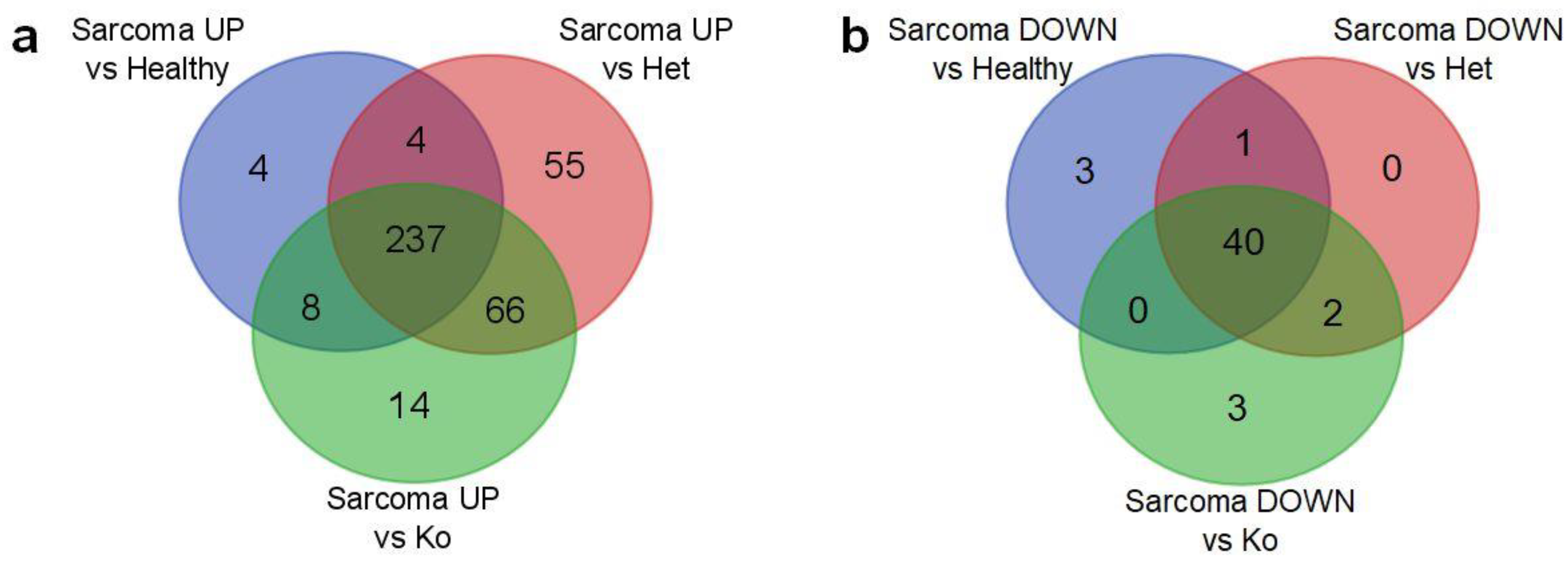 Cancers 12 01525 g006 Cancers 12 01525 g006