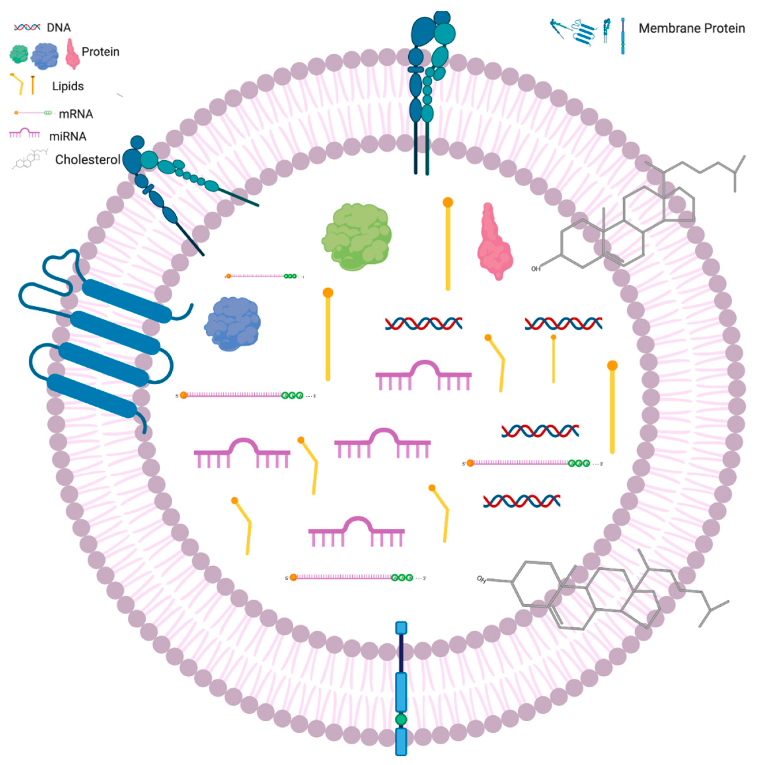 Cancers 12 01530 g002 Cancers 12 01530 g002
