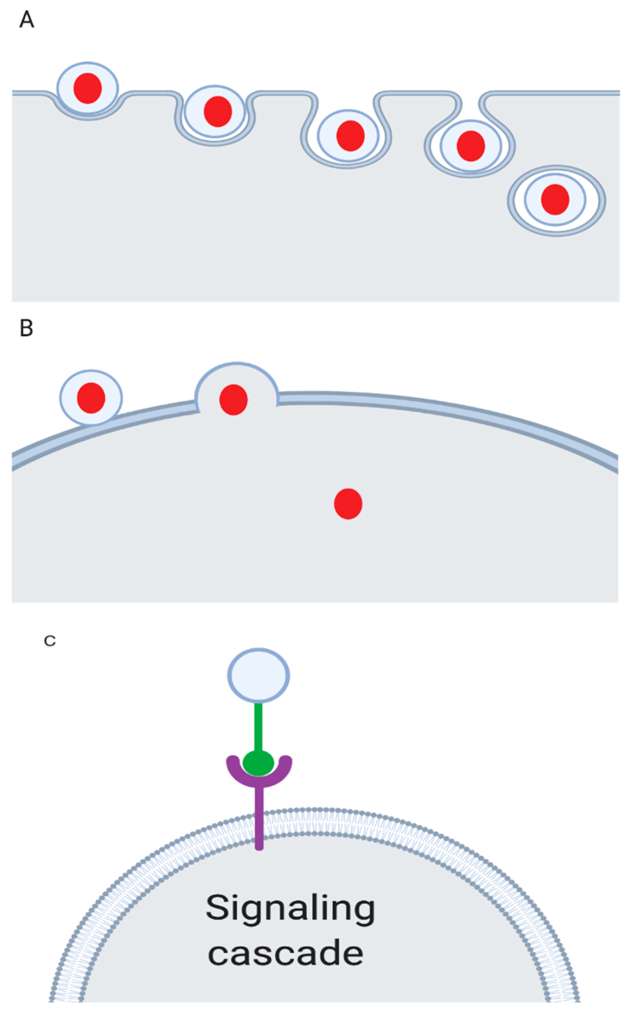 Cancers 12 01530 g003 Cancers 12 01530 g003