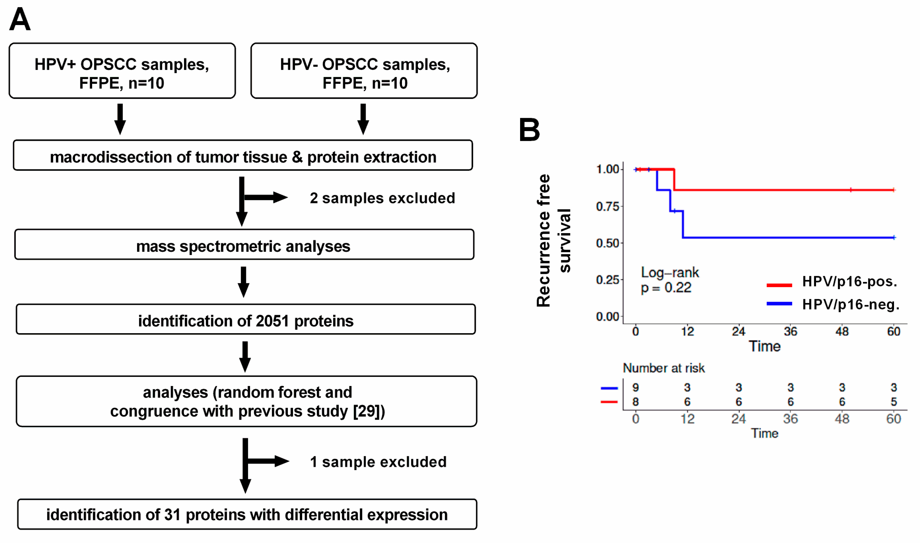 Cancers 12 01531 g001 Cancers 12 01531 g001