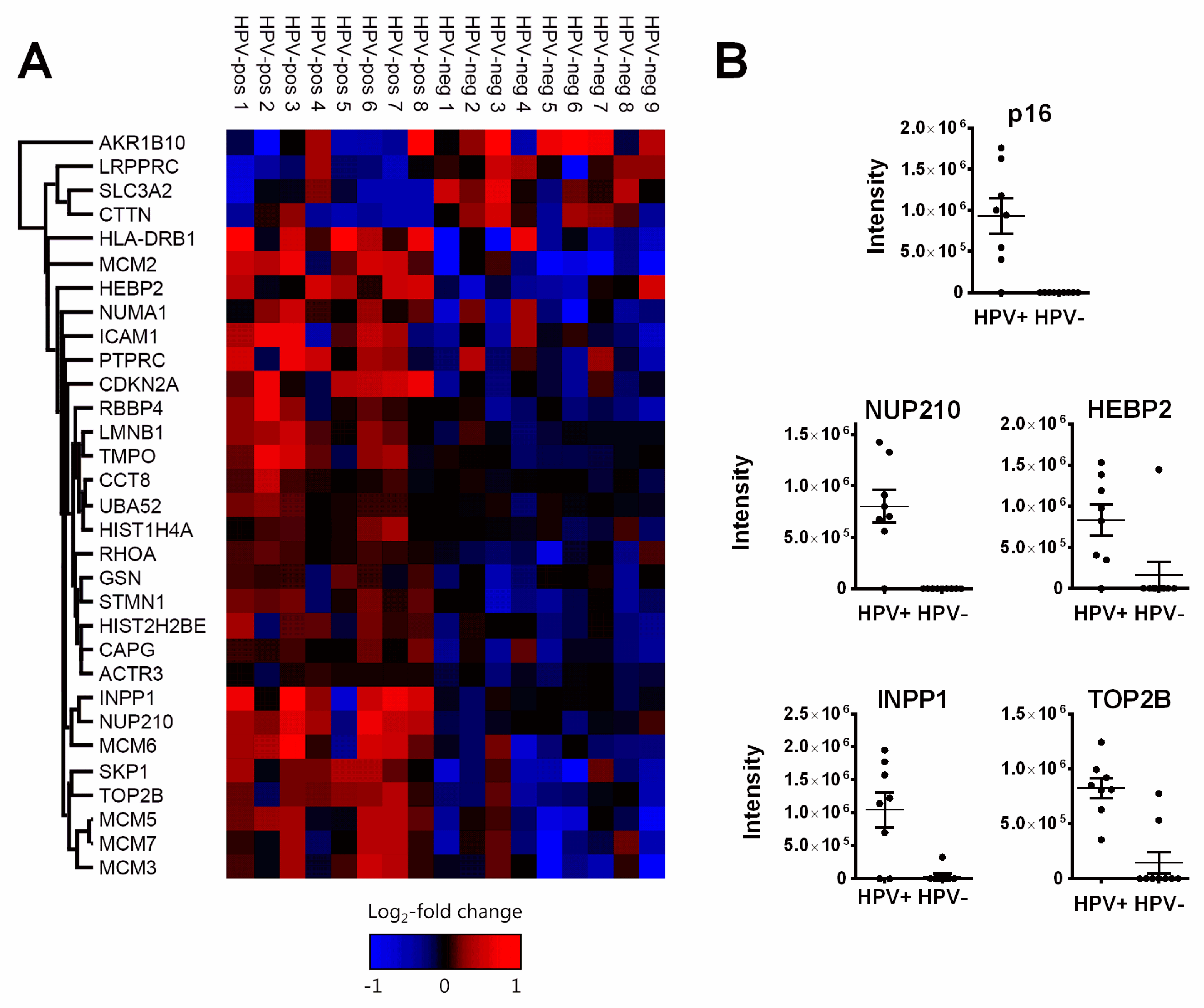 Cancers 12 01531 g002 Cancers 12 01531 g002