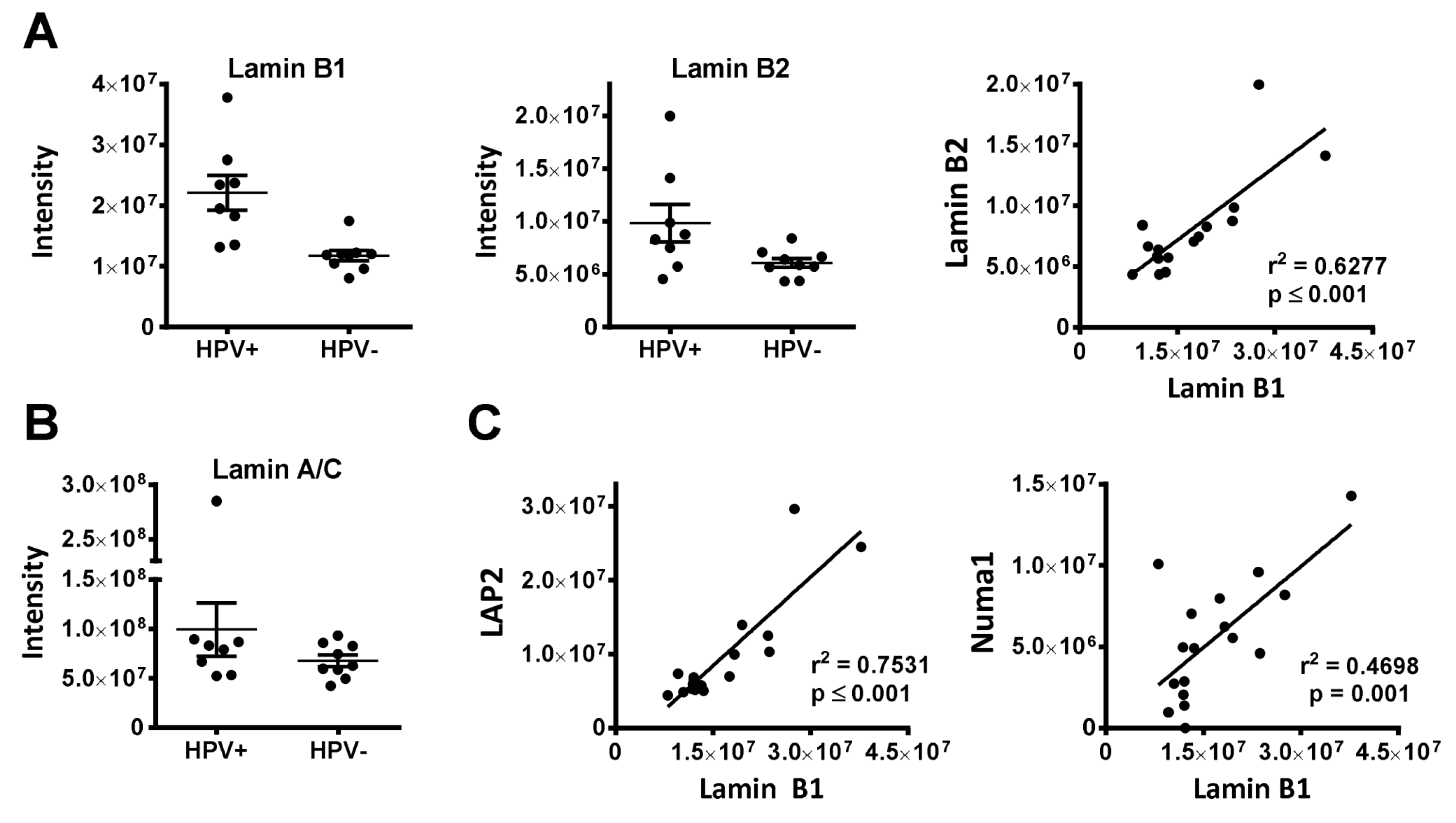 Cancers 12 01531 g004 Cancers 12 01531 g004